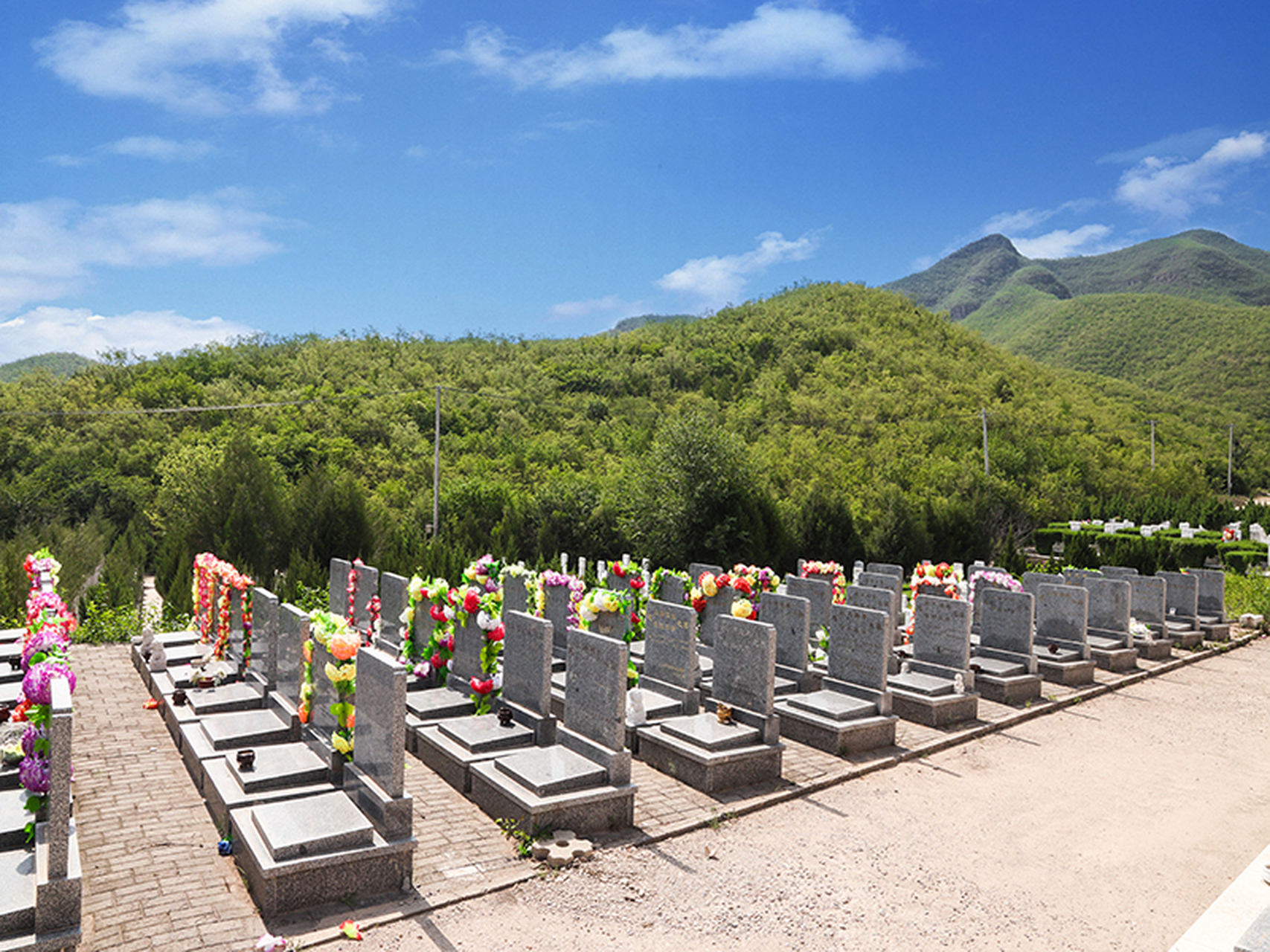 炎黄陵园交通便利.