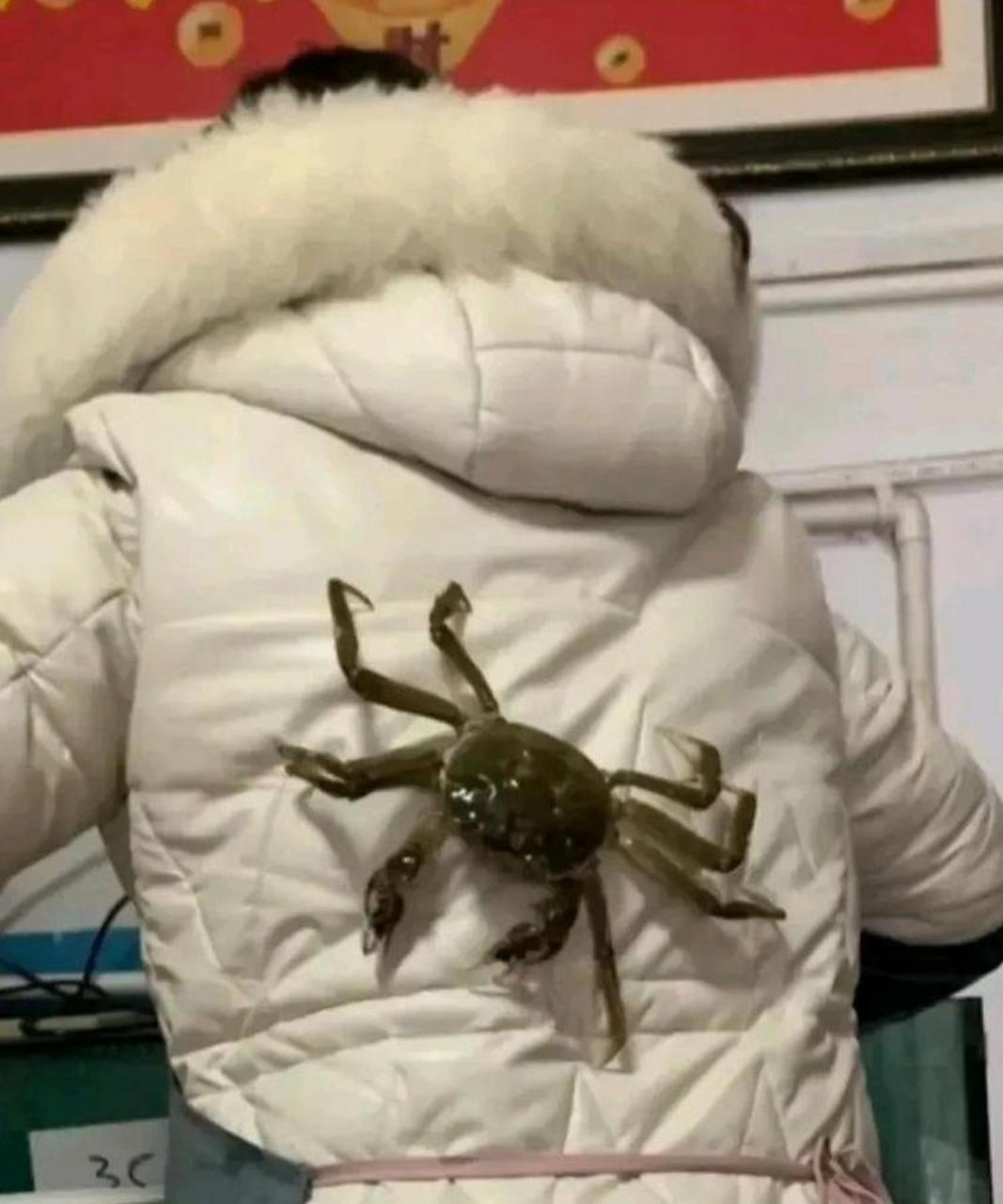 螃蟹蒸熟了,发现少了一个 #趣图搞笑