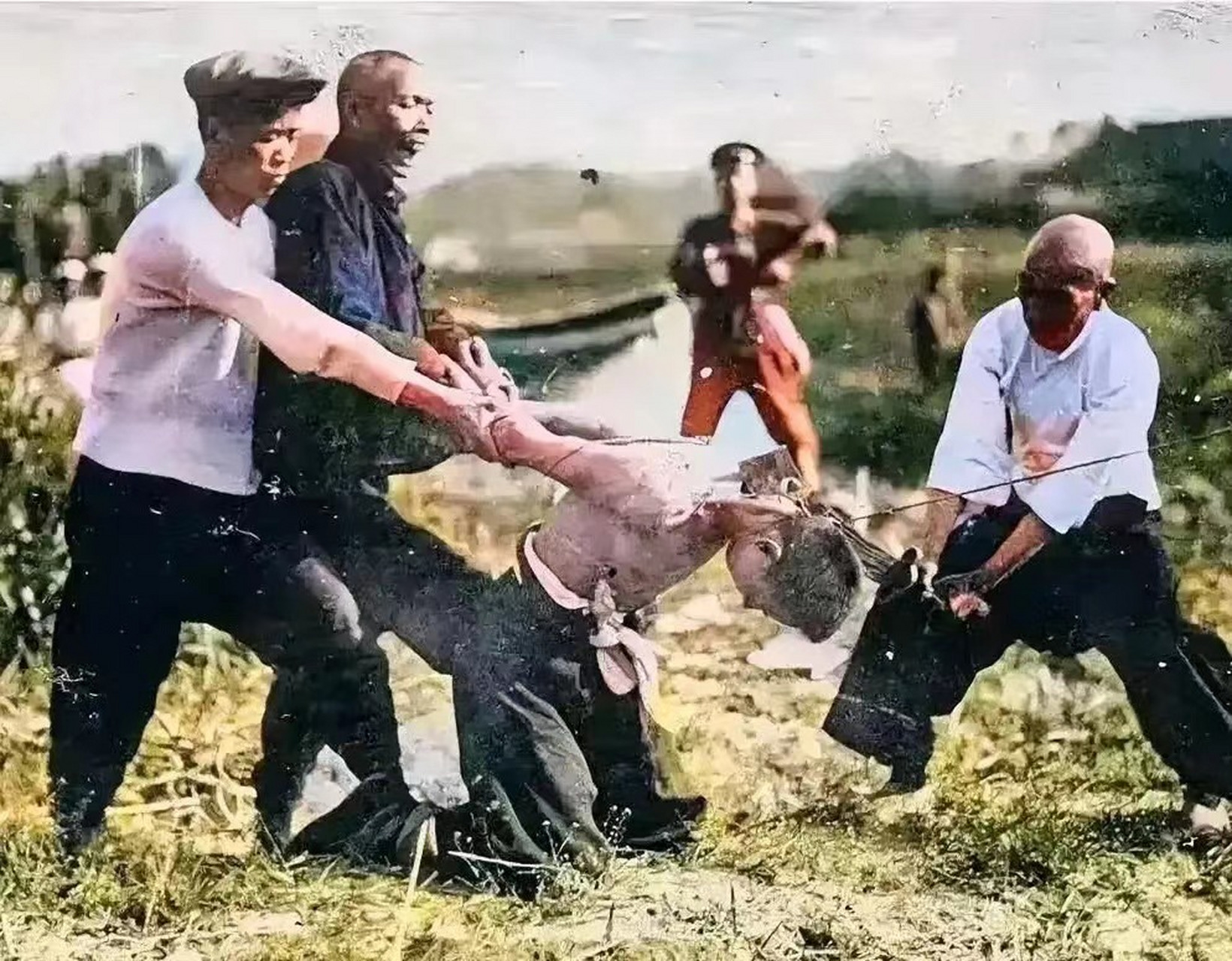 1912年,天津郊外刑场,执行死刑的一张老照片,镜头聚焦在一个跪在地上