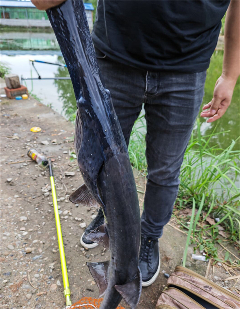 釣友釣到一條鴨嘴魚,真正的名字叫什麼呢?