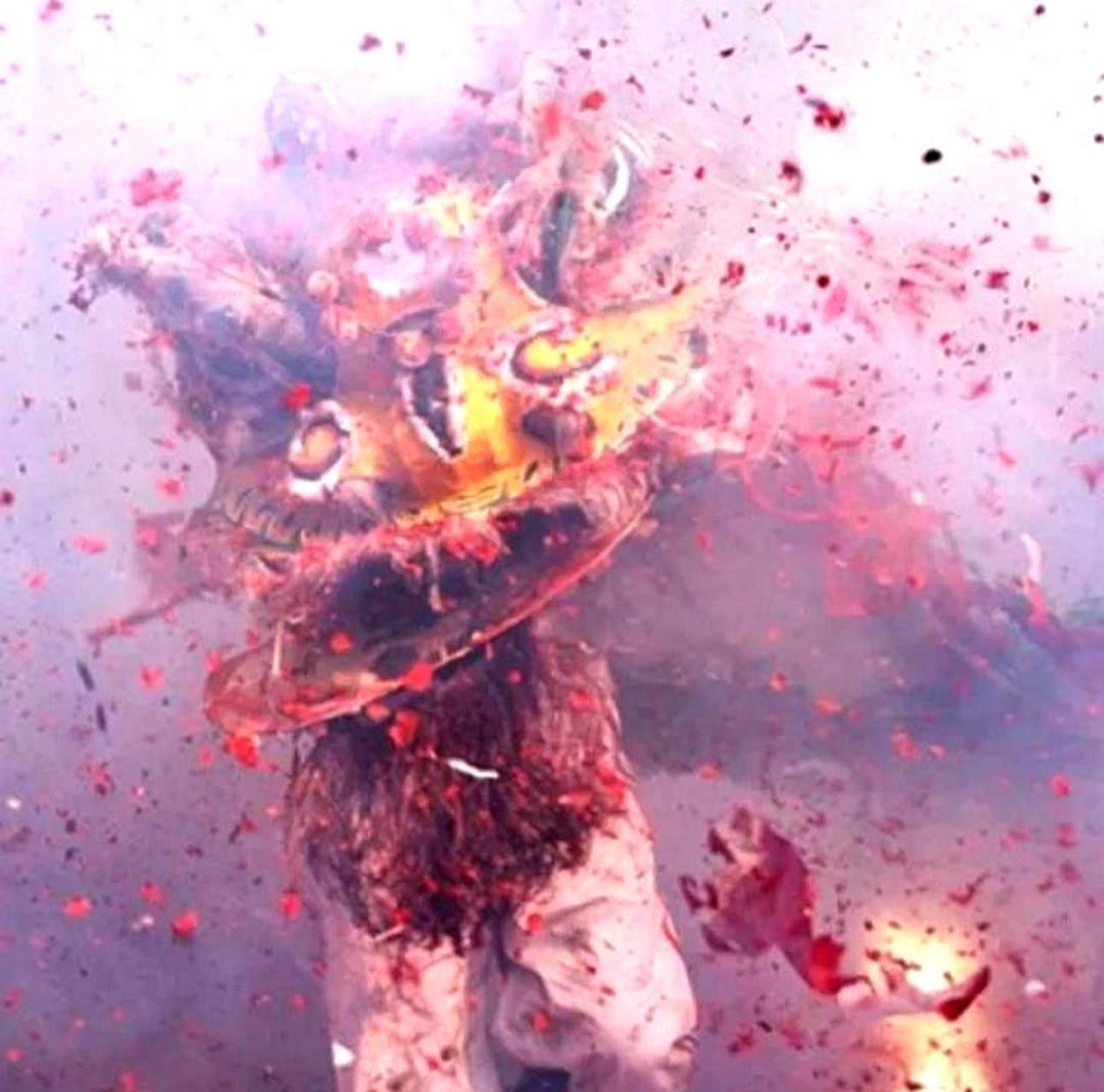 这是狮子还是被鞭炮炸的年兽呀?