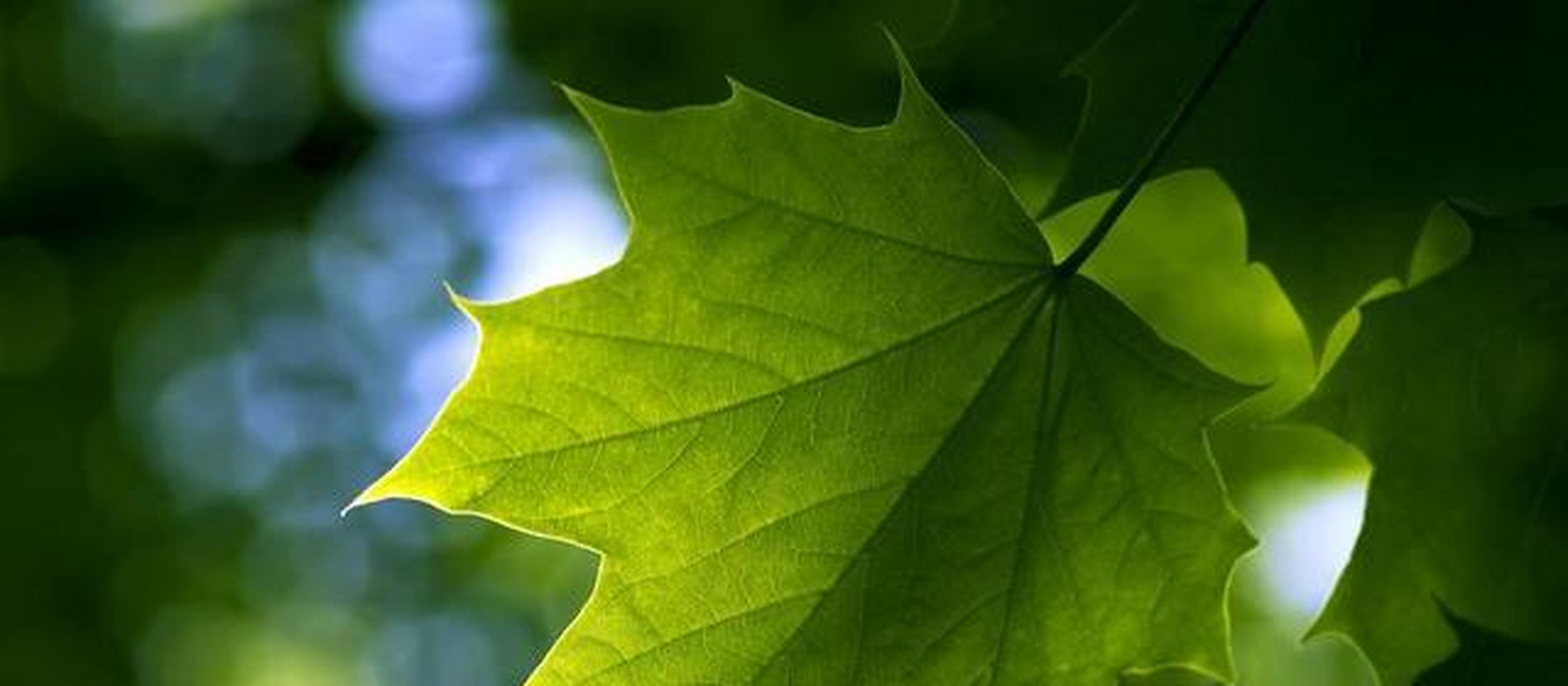 加代:不可能,你要真想管徐宗涛的情况下我不难为他,把一千w放这里,让