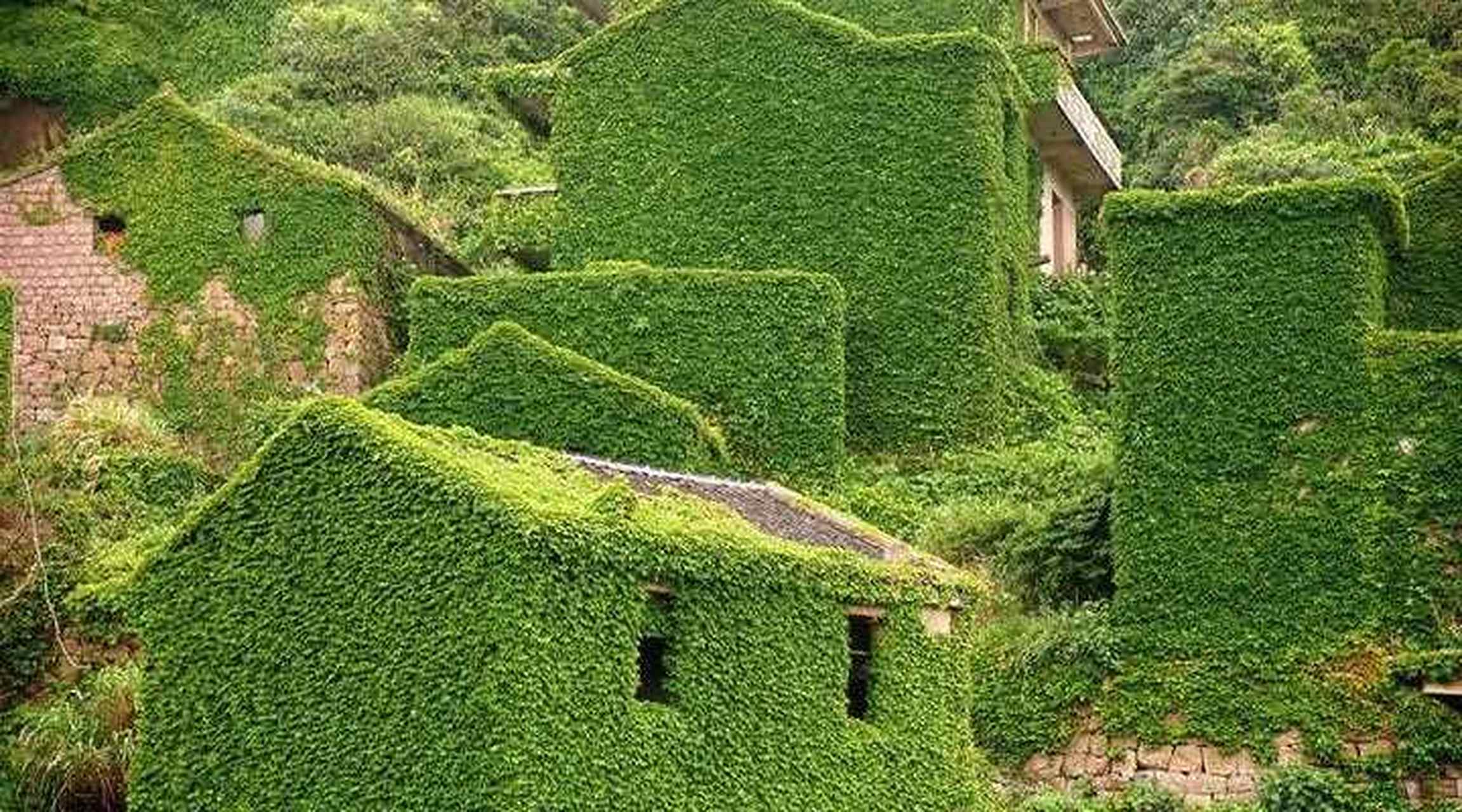 被遗弃的"抹茶小镇"