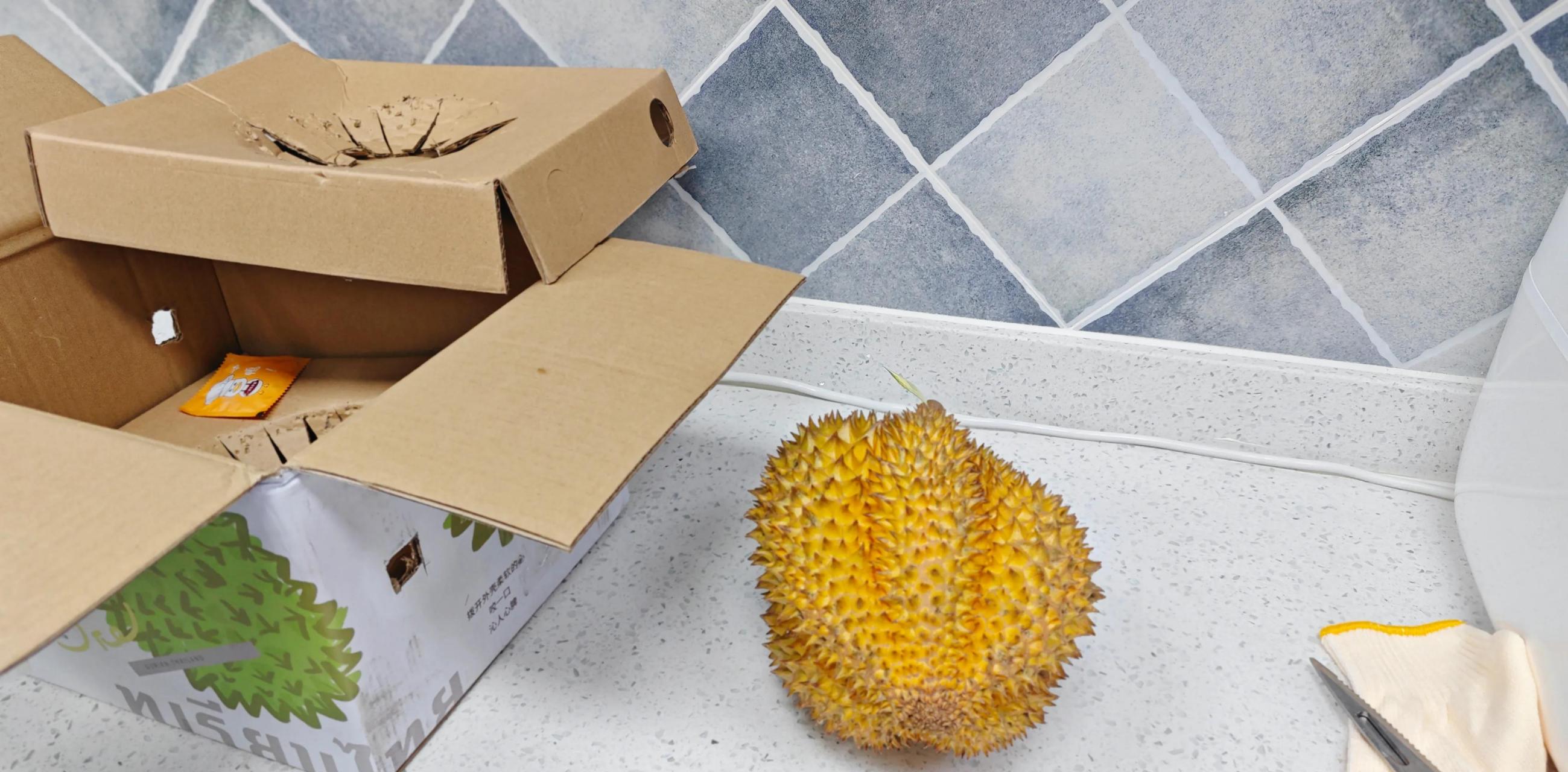 在朋友家买的软金月榴莲寄到了, 我不在家,快递员就直接放我门口了.