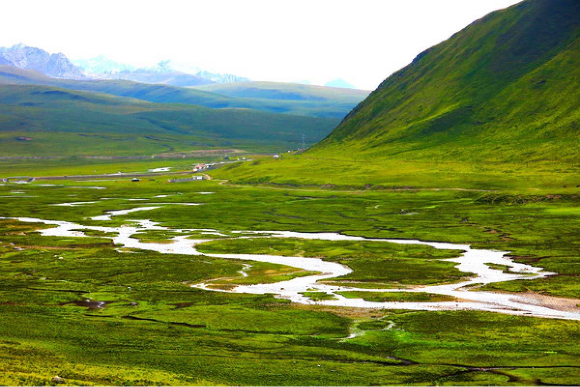 三江源自然保护区,这里是三条我国重要河流的源头,它在海拔四千多米的