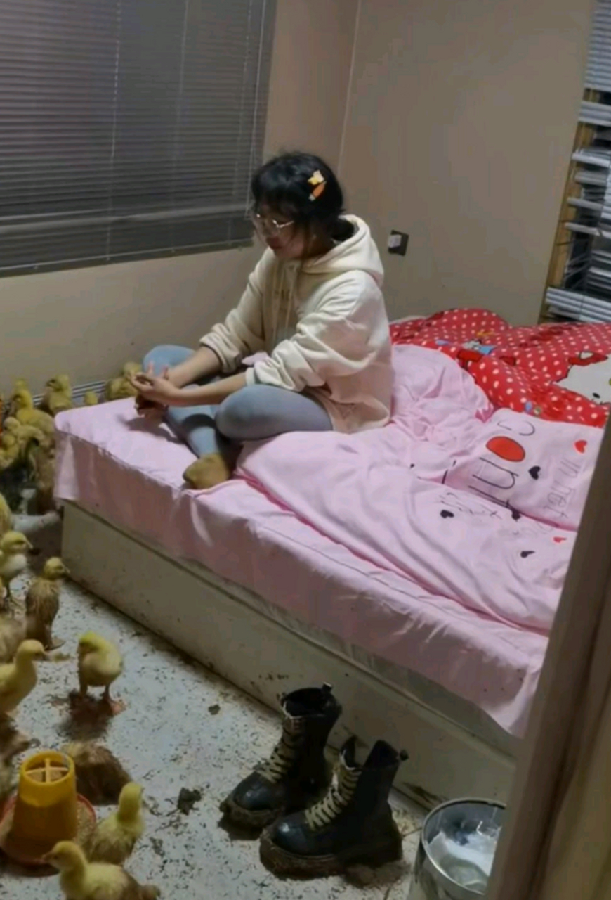 一群小黄鸭,等着爸妈回来挨打吧