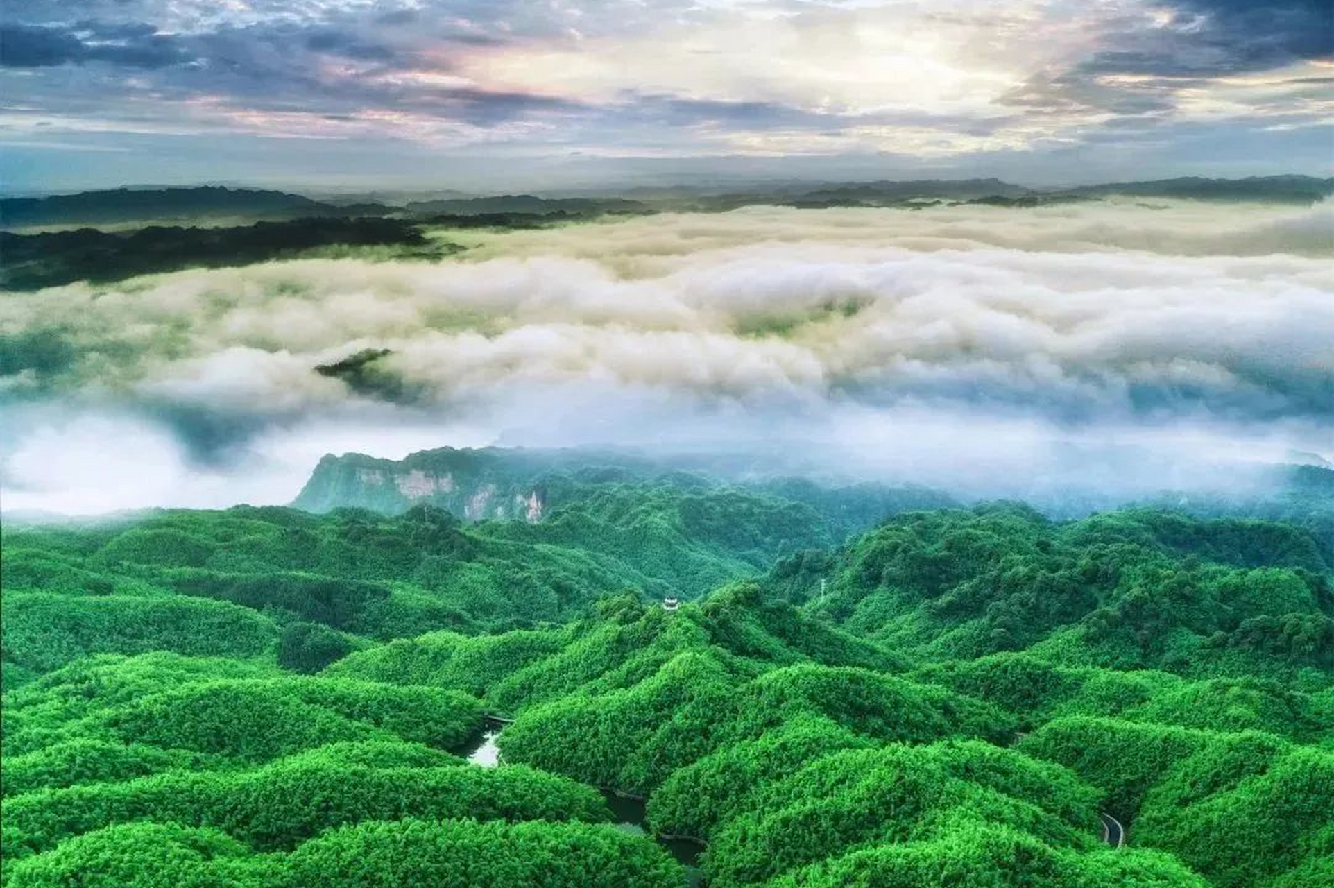 乐山沐川竹海,这里拥有着超过10万亩的竹林景观.