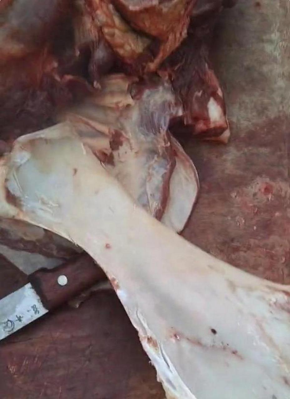 绝不浪费一丝一毫.