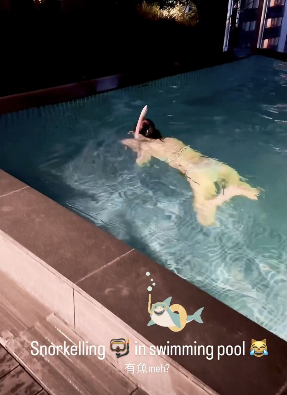 5月31日,偶像剧女王陈乔恩最新近况曝光,令人没有想到的是,这一次,陈