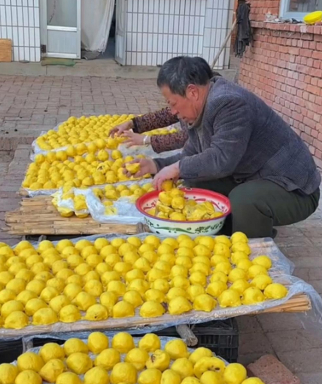 东北粘豆包下面的叶子图片