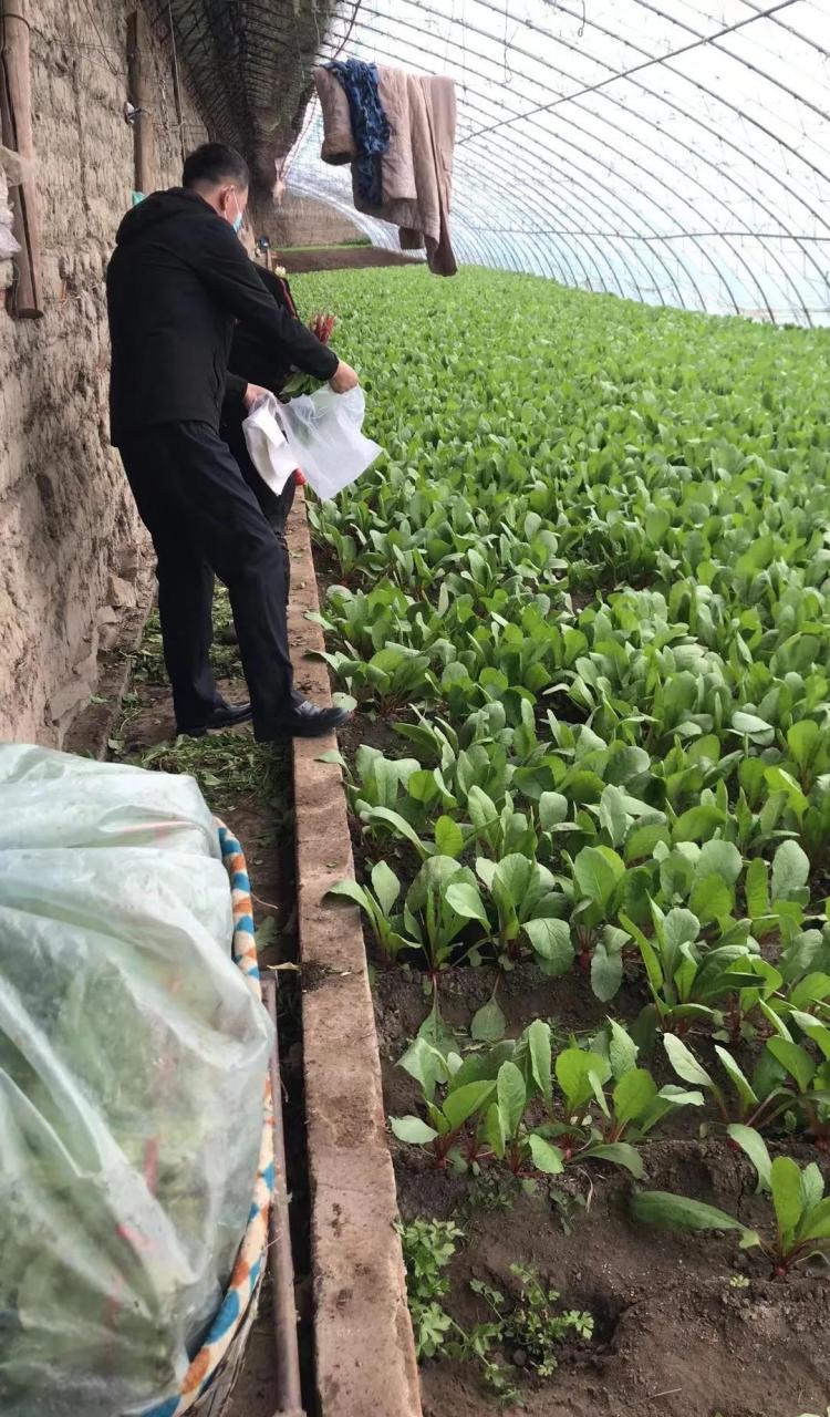 分享一下你家乡的方言# 赤峰方言很多 夜来哄晌——昨天晚上 癞逮