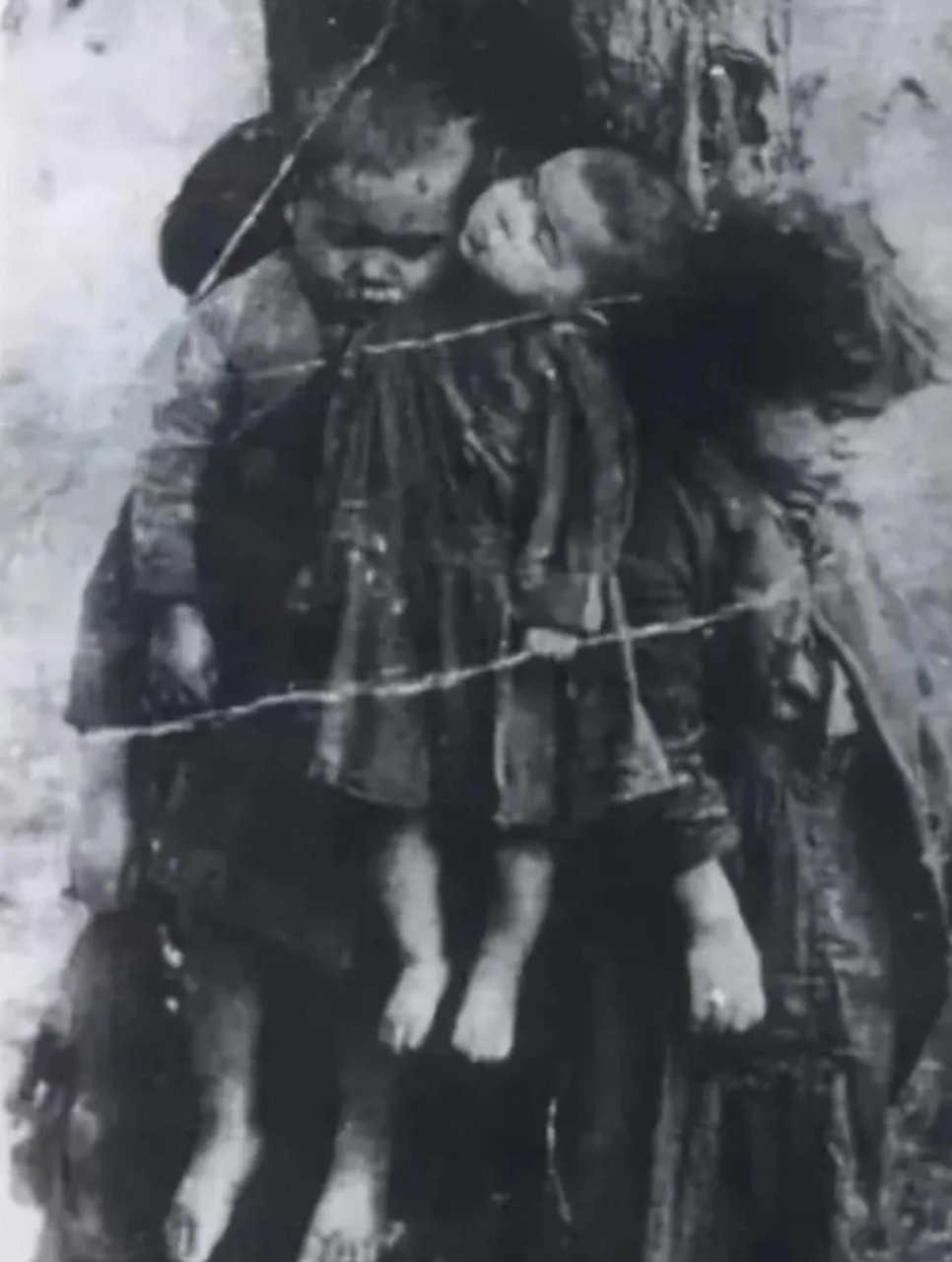 他们还没有来得及享受生命的美好,就被无情地夺去了.