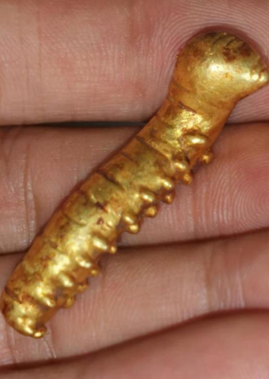 还是第一次见用金子做的毛毛虫呢