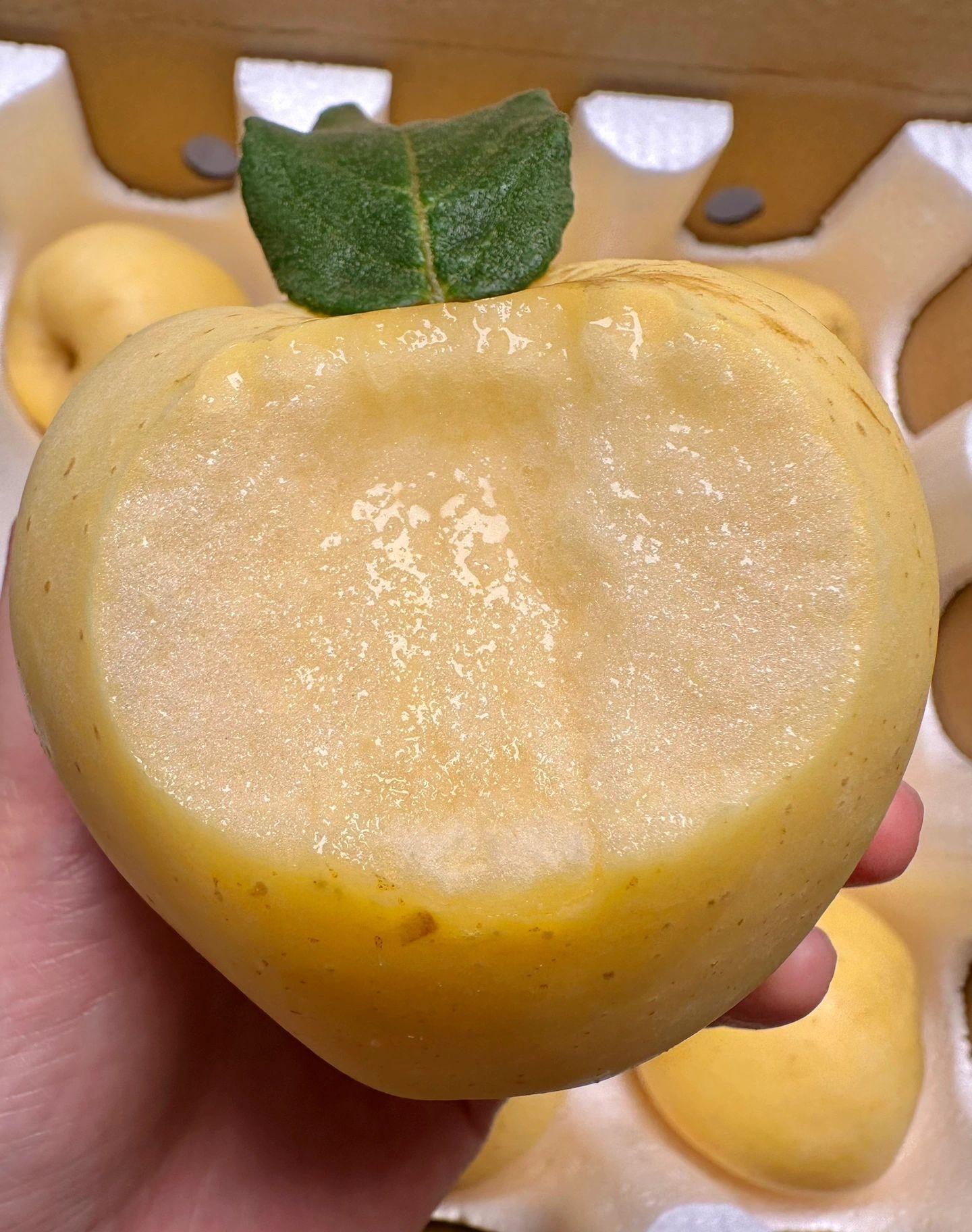 真的会对这个苹果永远心动 脆甜好吃的维纳斯黄金苹果