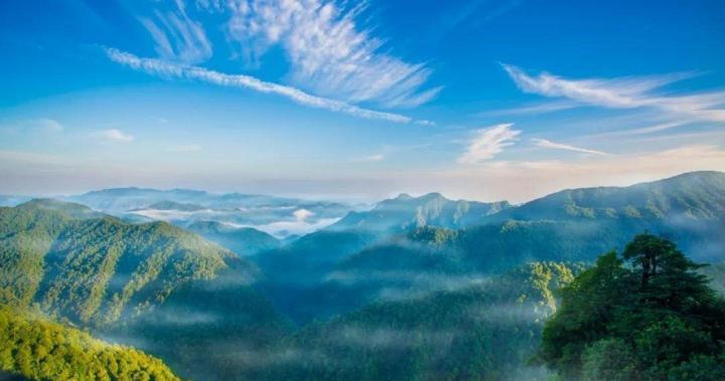 在安远县三百山景区内,工作人员首次拍摄到"四不像"——国家Ⅱ级重点