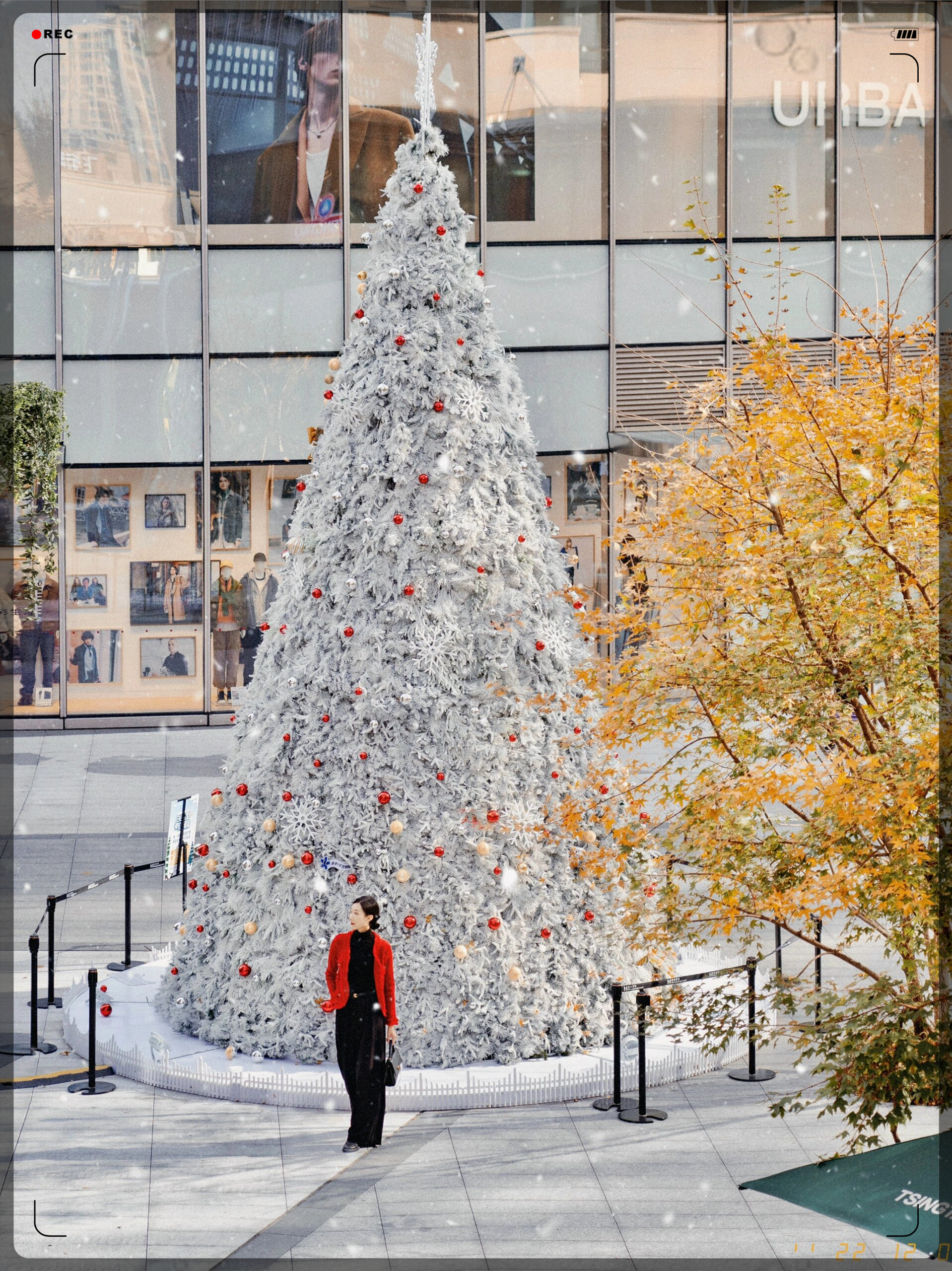 提前来光环过圣诞了 期待下一场人造大雪  光环真的