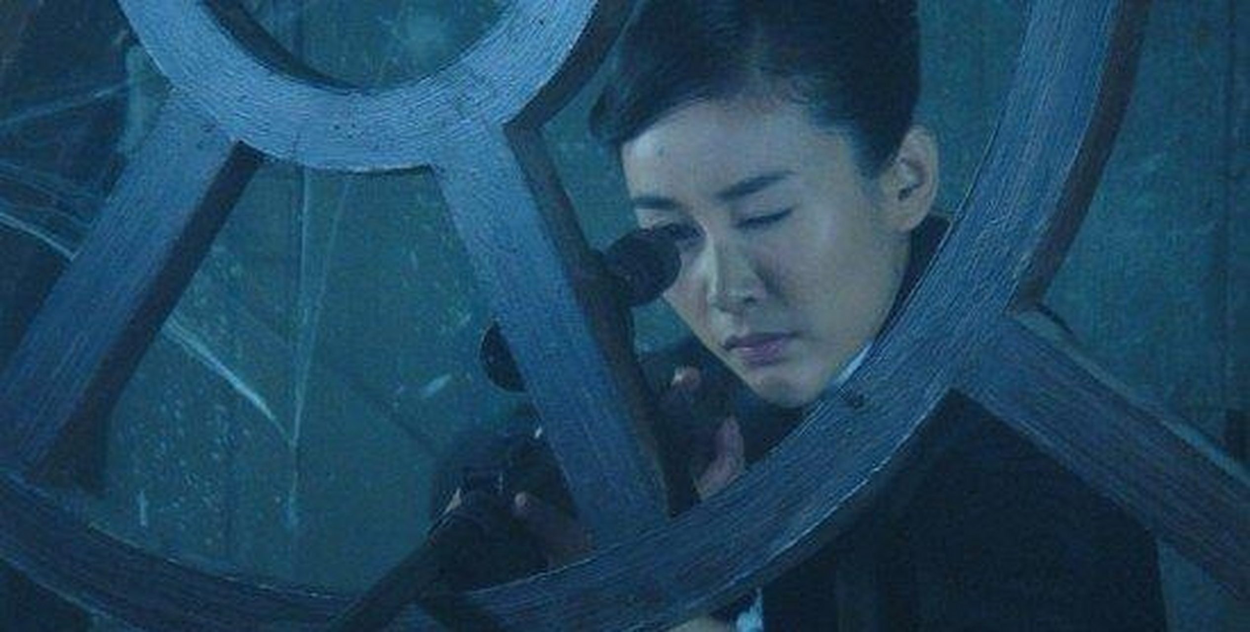 《秘杀名单》是一部由刘逢声执导,靳东,李立群,周扬等主演的谍战剧.