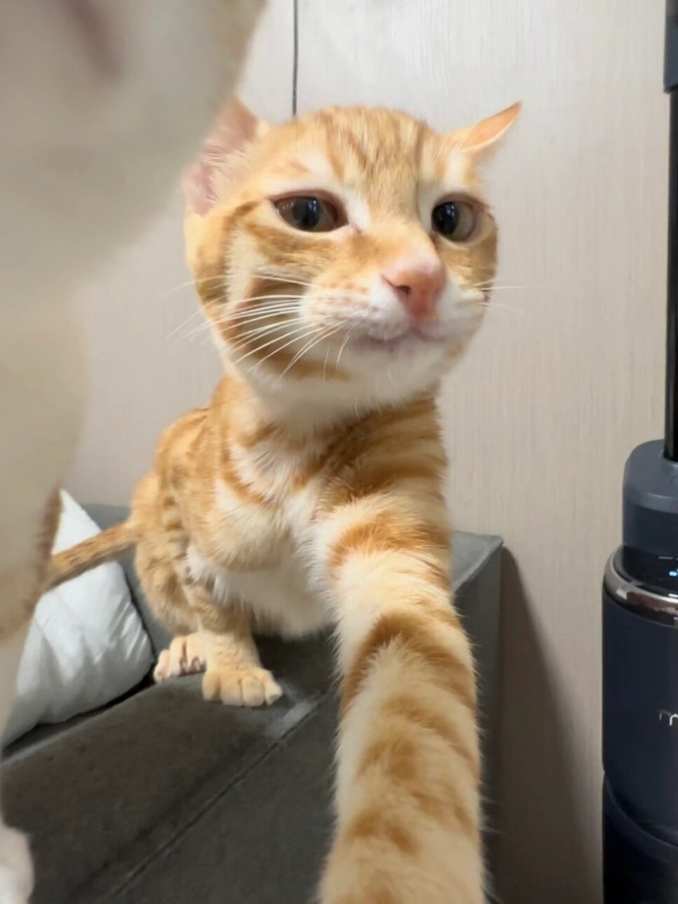 好可爱啊 看到这些你是不是想要换头像