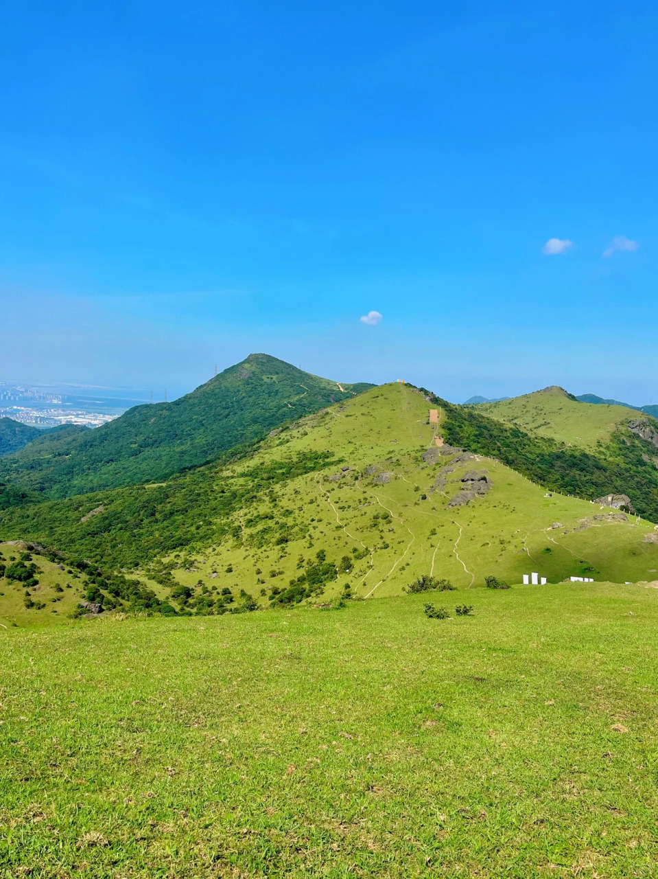 不用去瑞士的草场 在福州也能看到天然大草场 这里的空气都是青草的
