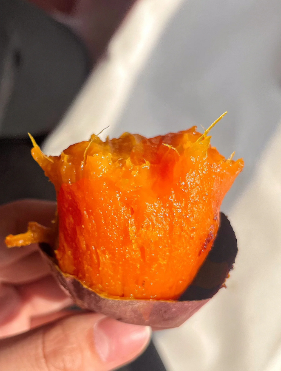 在烟薯25号这个品种更为明显, 爆不爆筋都不是判断是否是烟薯的标准哈