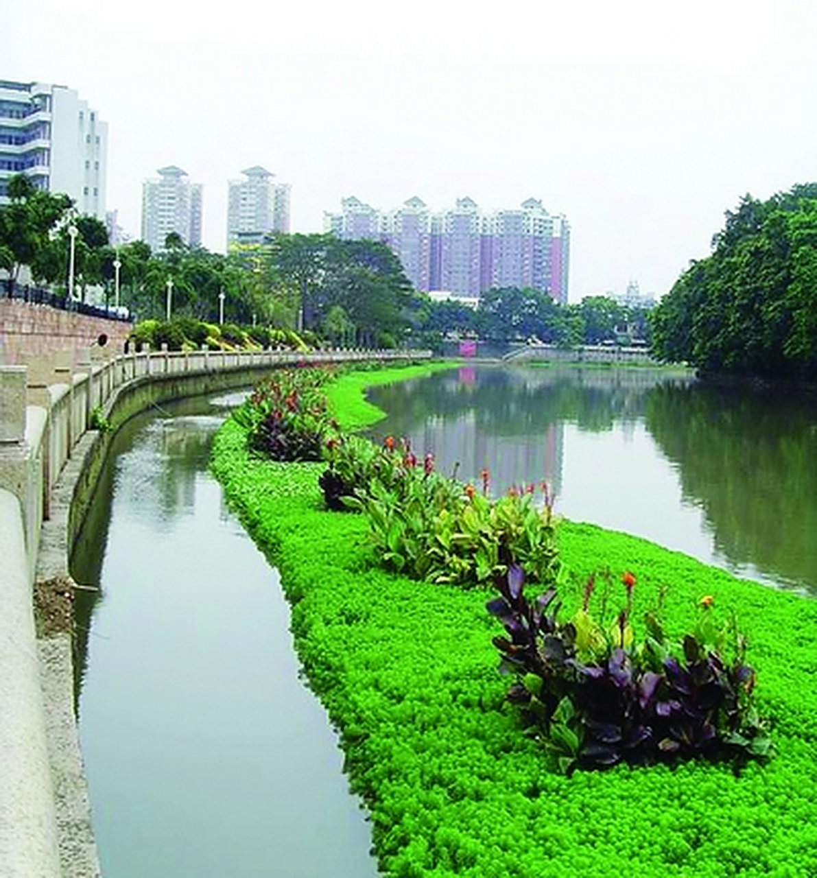 通过种植各种草木和花卉,以及设计公园和休闲设施,生态浮岛能够提供供