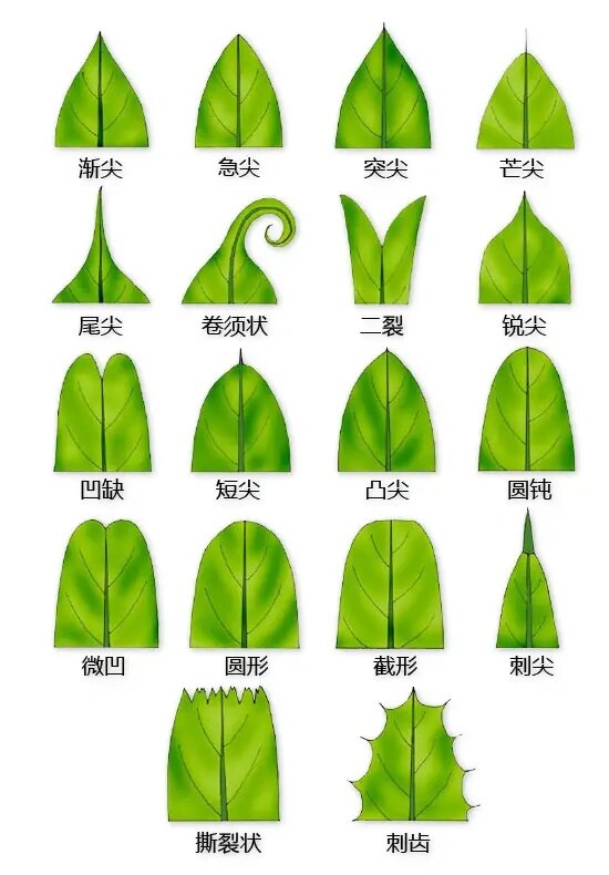 这些词汇可能让你感到困惑