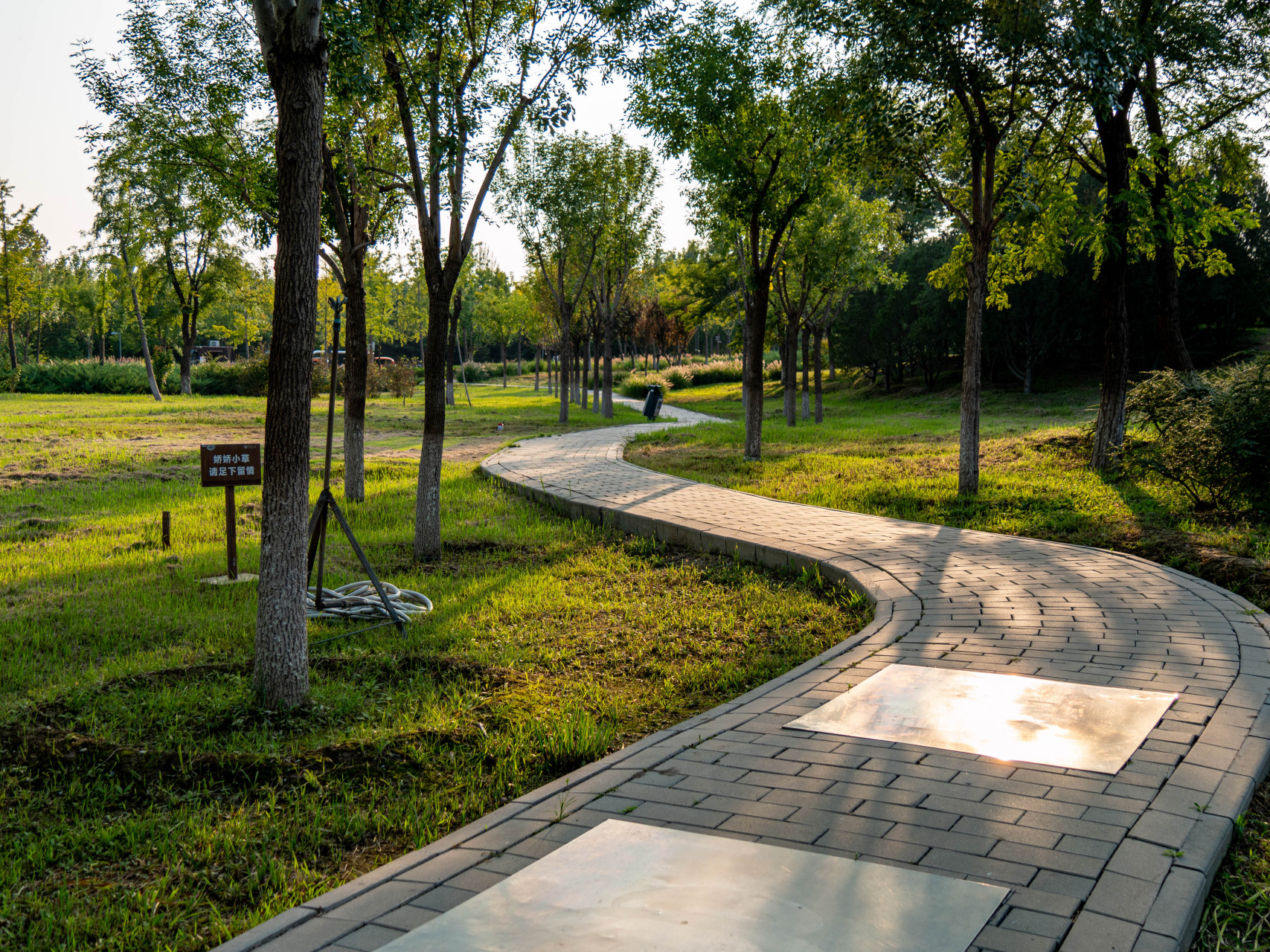 今天来到位于大兴区的南海子湿地郊野公园,据说是北京市最大的自然