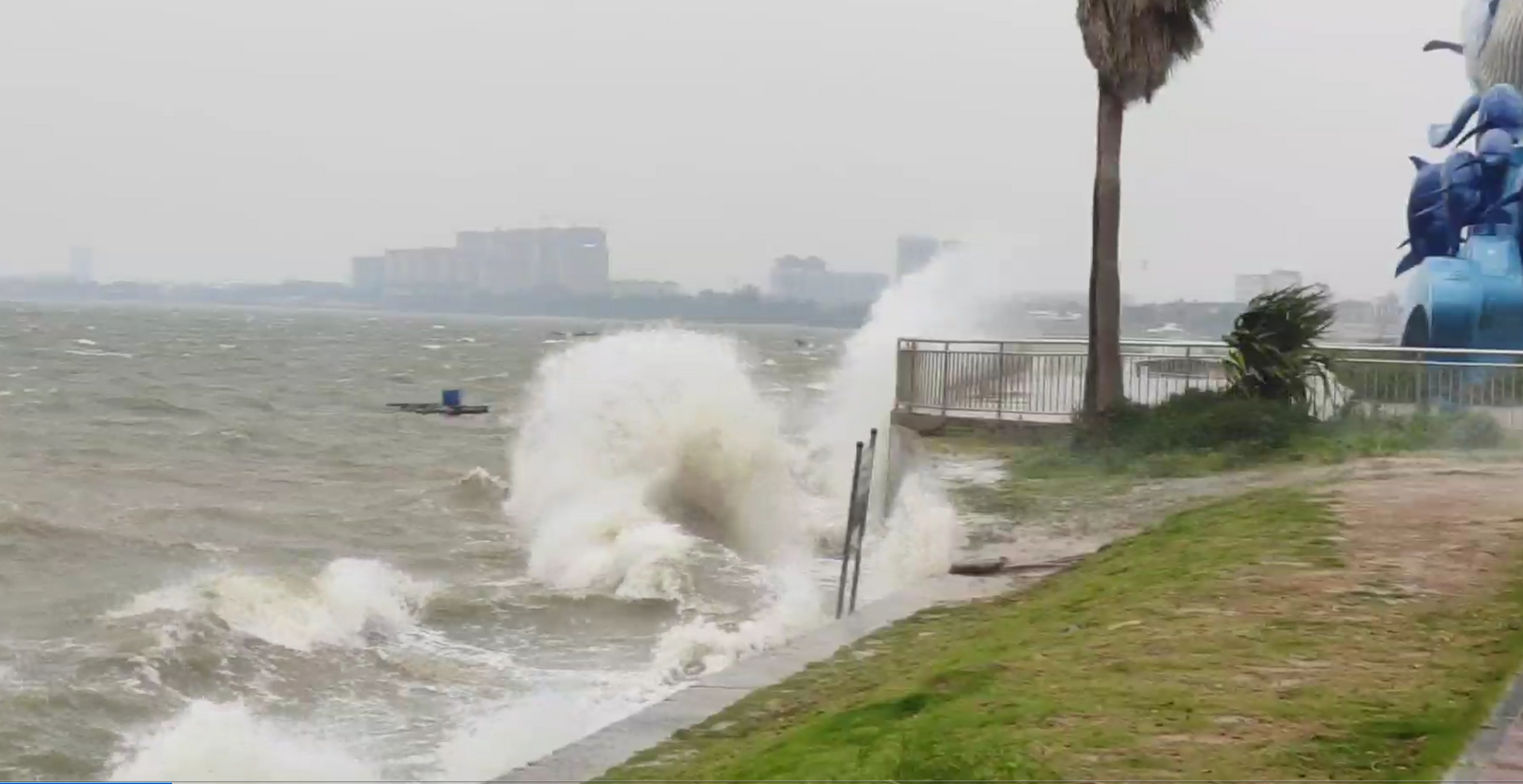 第4号台风泰利来袭# 北海全市从7月17日晚上十点开始,启动六停措 ,""