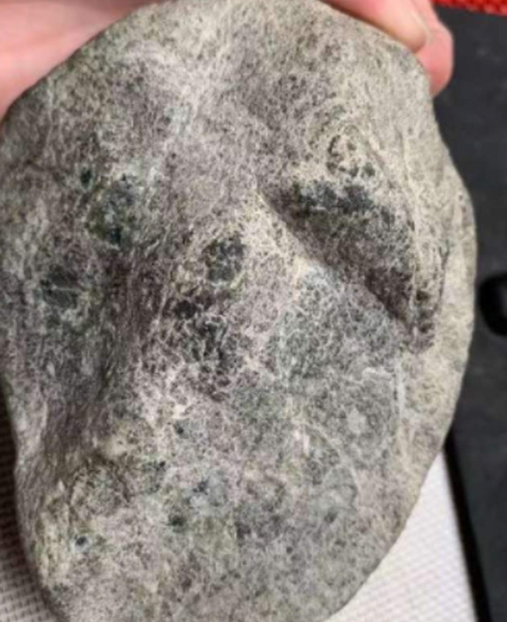 点击头像看直播##翡翠原石# 老象皮莫西沙,皮壳老辣紧凑,沙粒坚硬,大