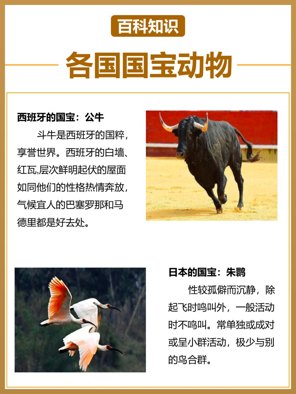 世界各国国宝动物大集合7575你最中意哪个?