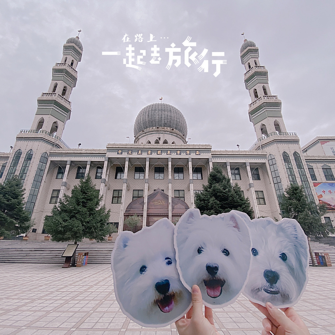 说走就走的旅行623的微博的简单介绍