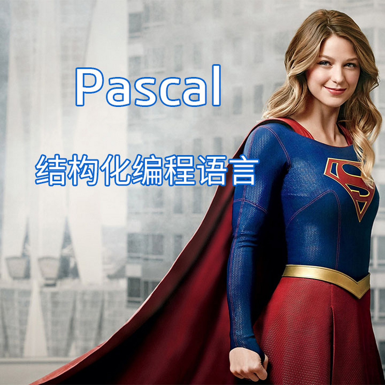 pascal语言,pascal语言之父 pascal语言,pascal语言之父
