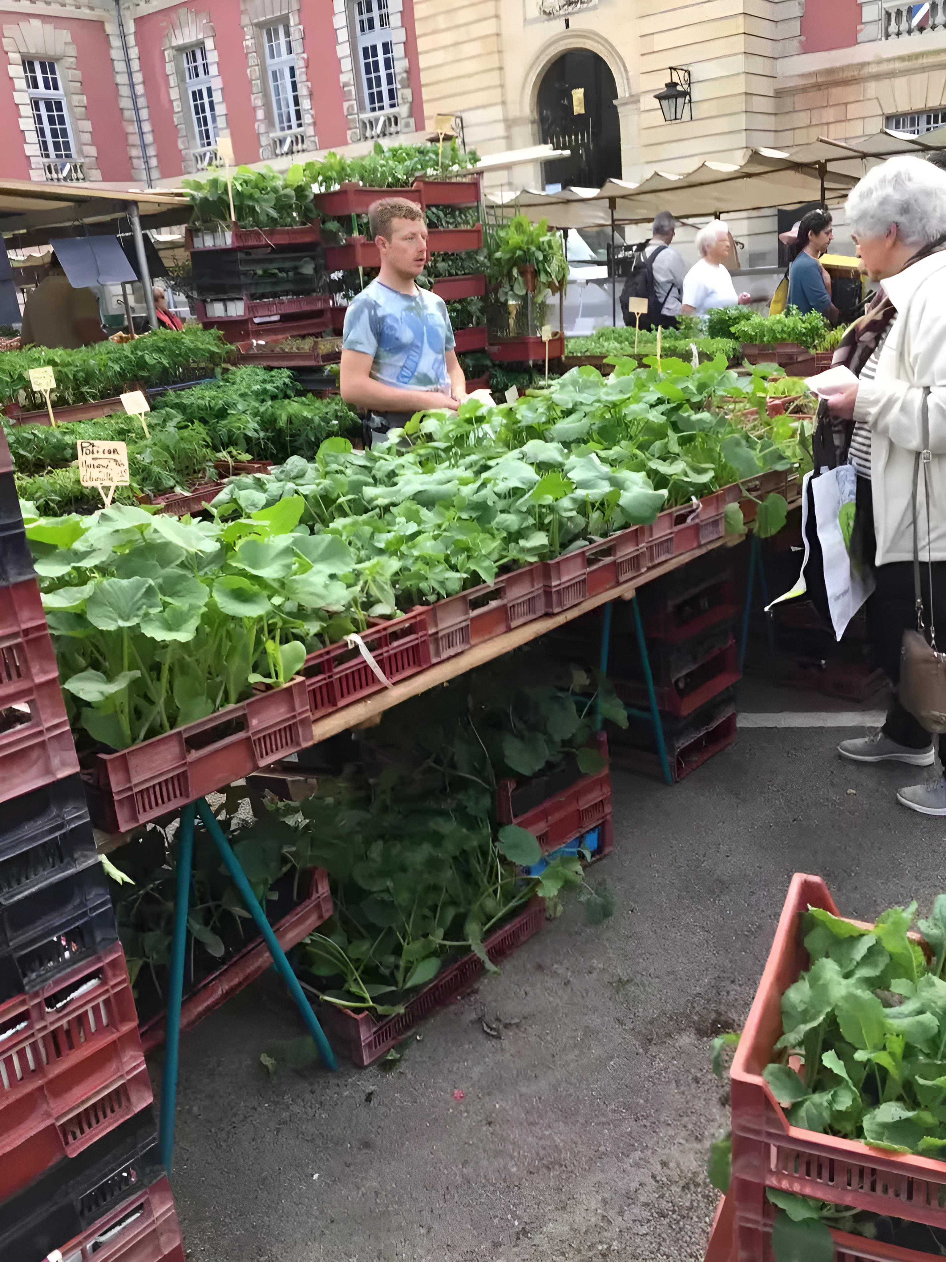 这样来卖菜,不得不佩服法国的菜市场,主打就是一个新鲜