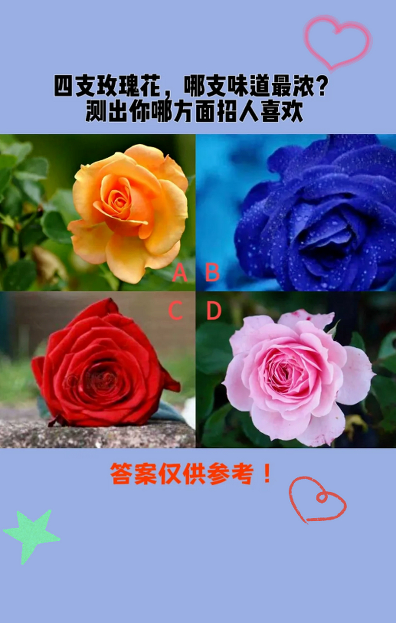 你对异性的吸引力到底有多强!想知道四束鲜花中,你第一眼喜欢哪束吗?