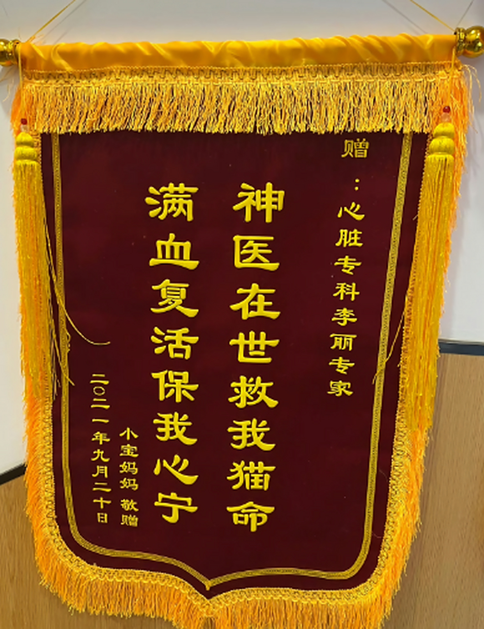 宠物医院里的锦旗也太好笑了吧,哈哈哈!