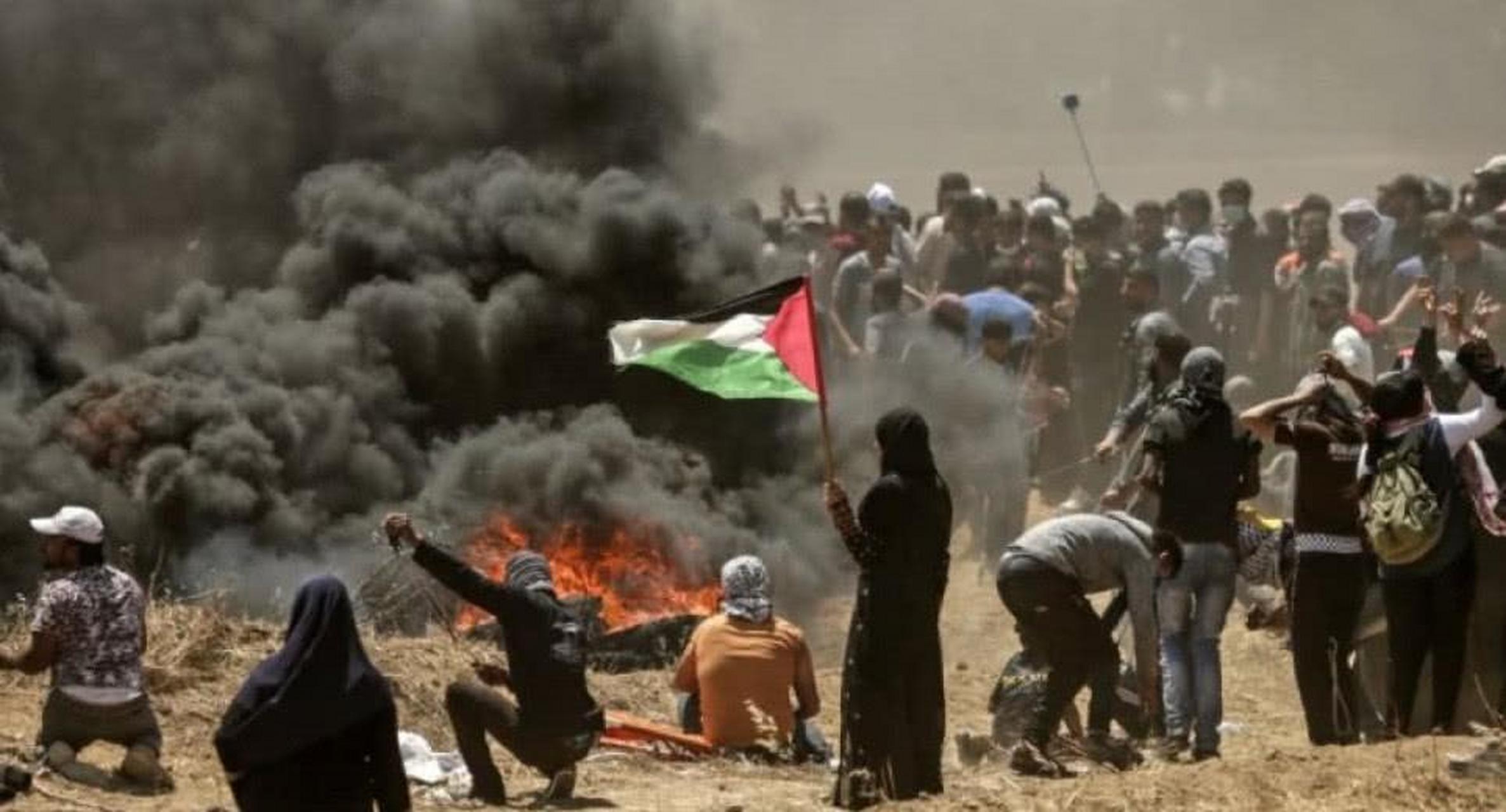 根据最新消息,叙利亚,约旦,巴勒斯坦和黎巴嫩已开始以各种形式对