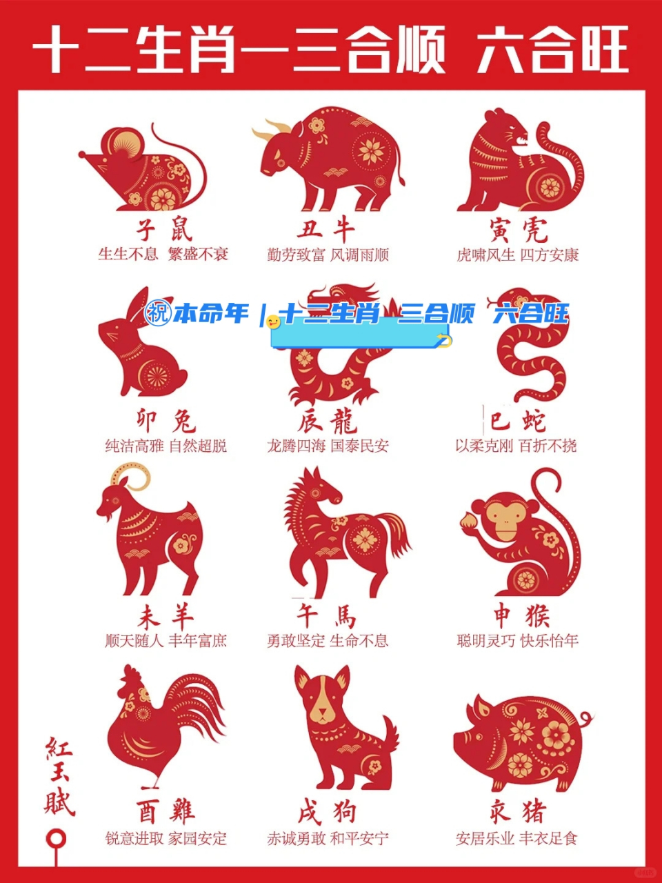 十二生肖有哪些属相的运势(十二生肖的运行)