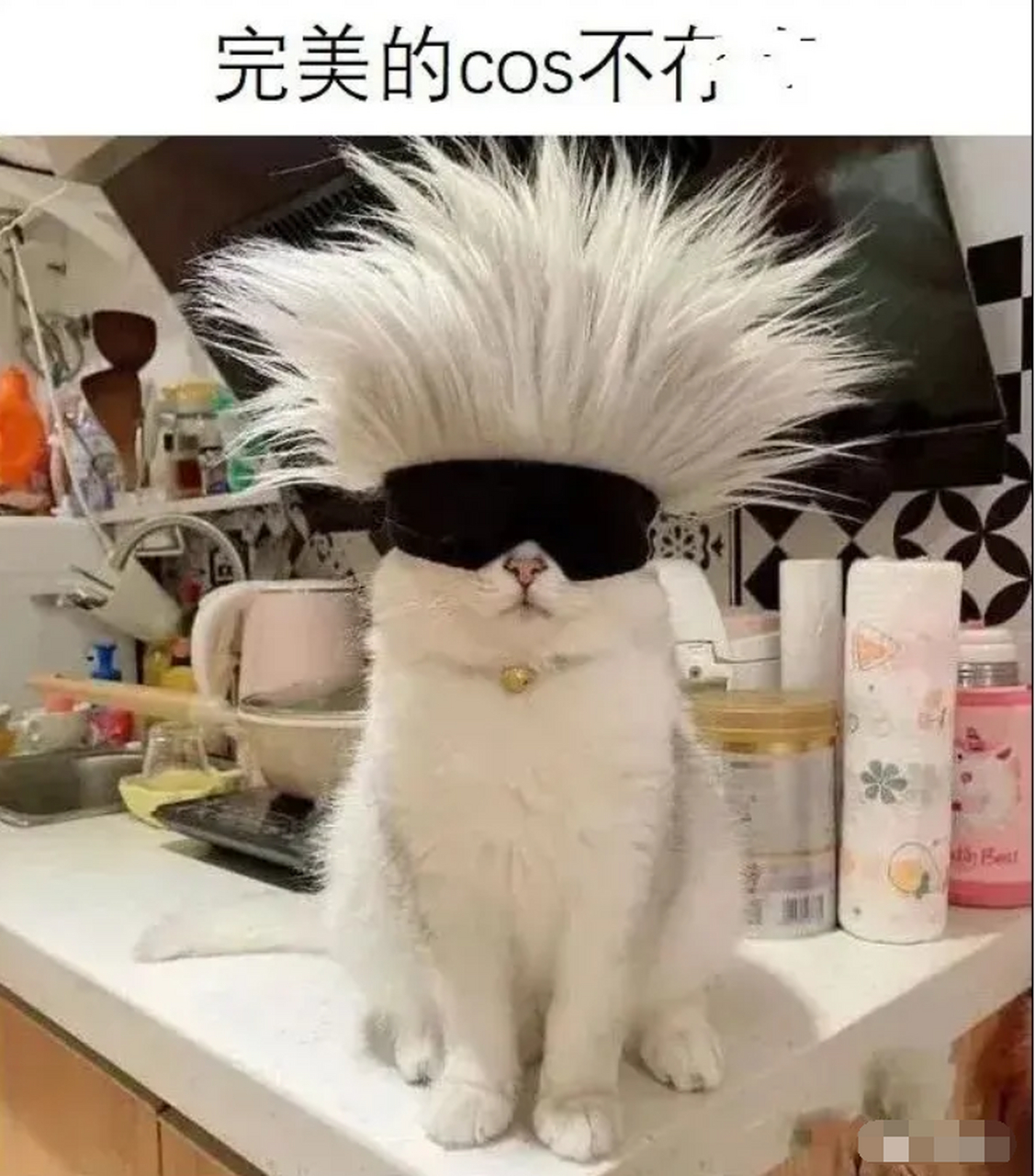 这个猫星人cos的五条悟是真的完美[滑稽]