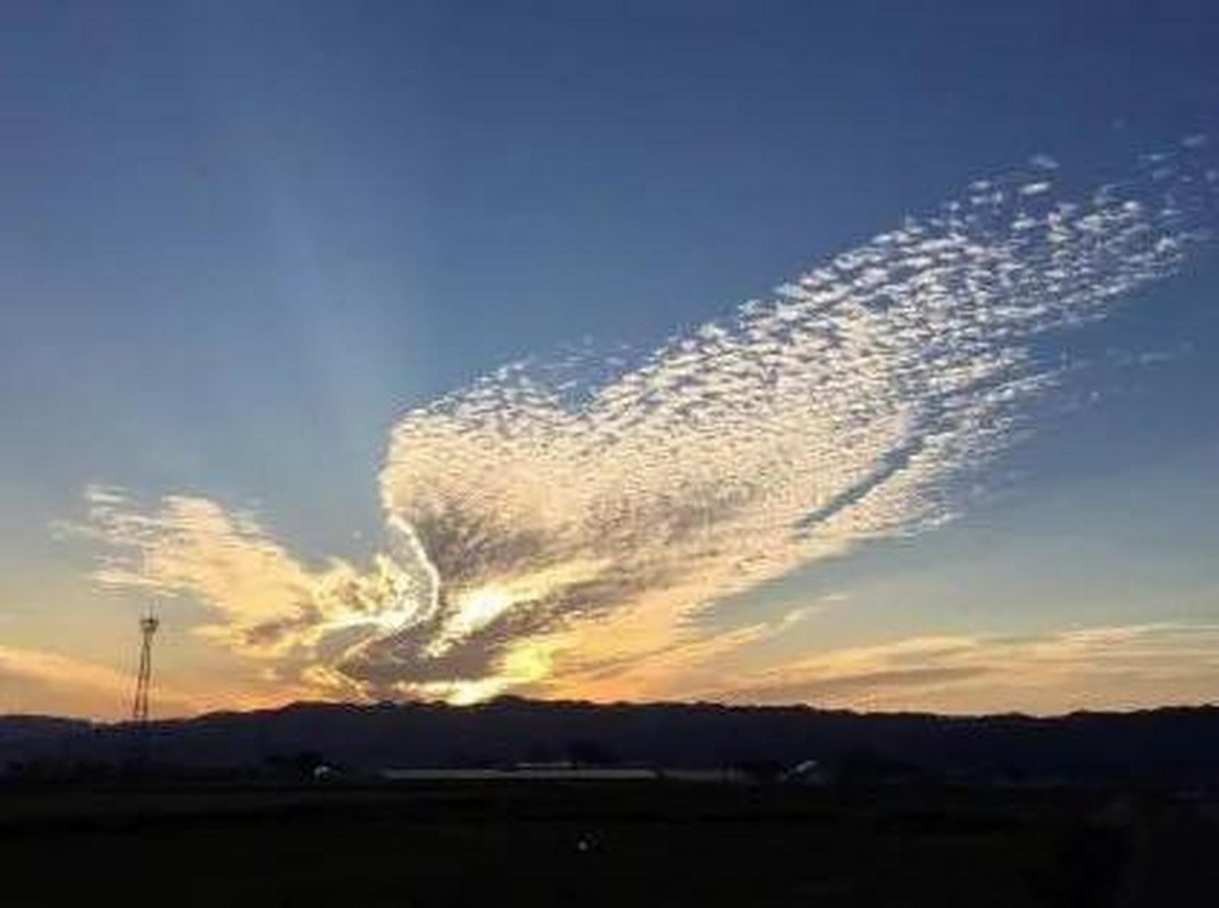 这个真的是火凤凰本凰了火烧云是日出或日落时出现的赤色云霞.