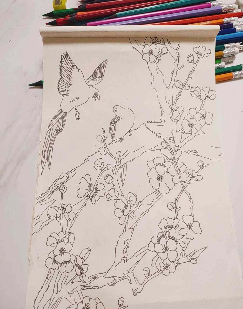 不与群芳争绝艳,化工自许寒梅.彩铅手绘习作一幅梅花图[笑]