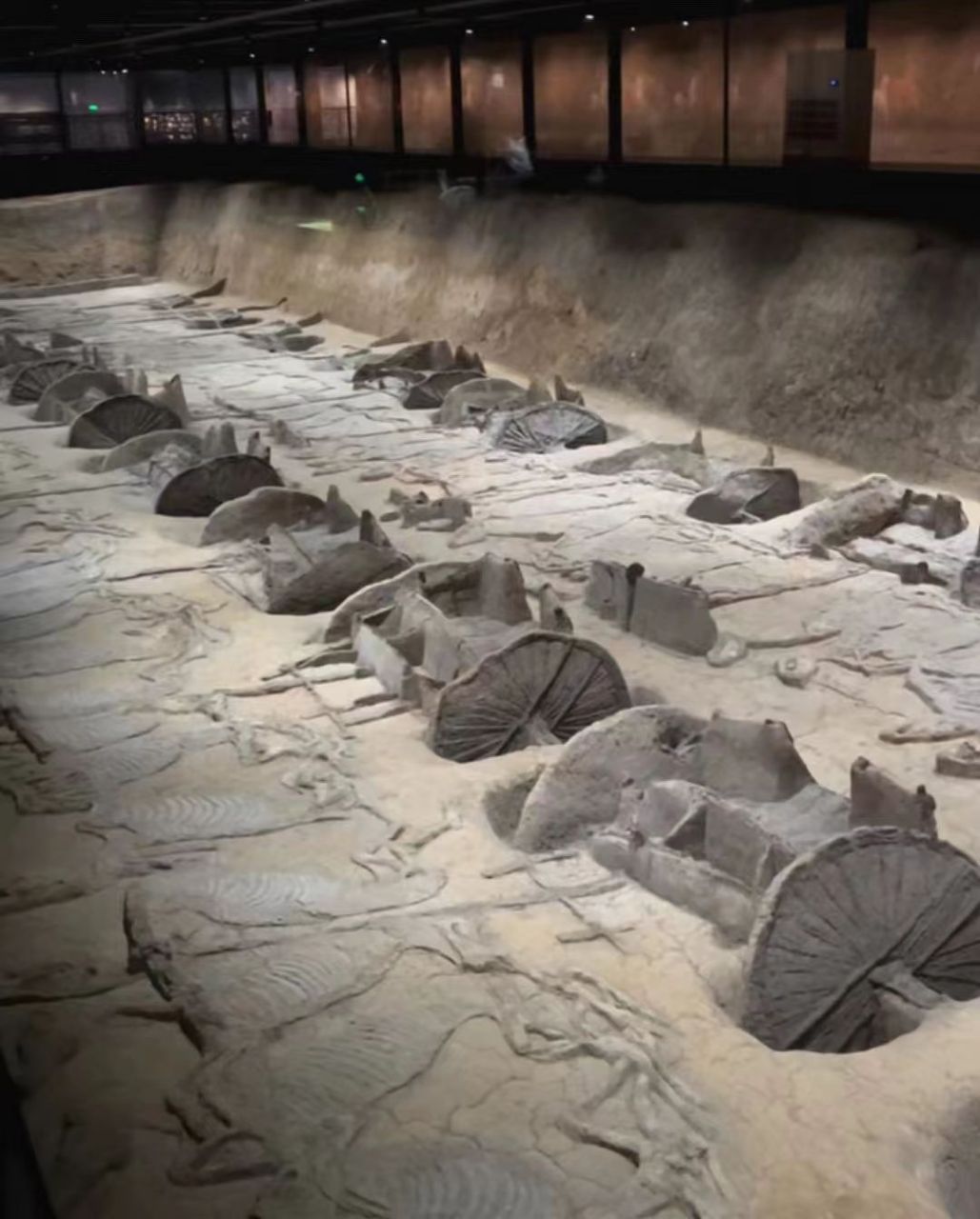 荆州熊家冢战国楚王墓车马坑内发现世界单体最长的车马坑,已清理2/3