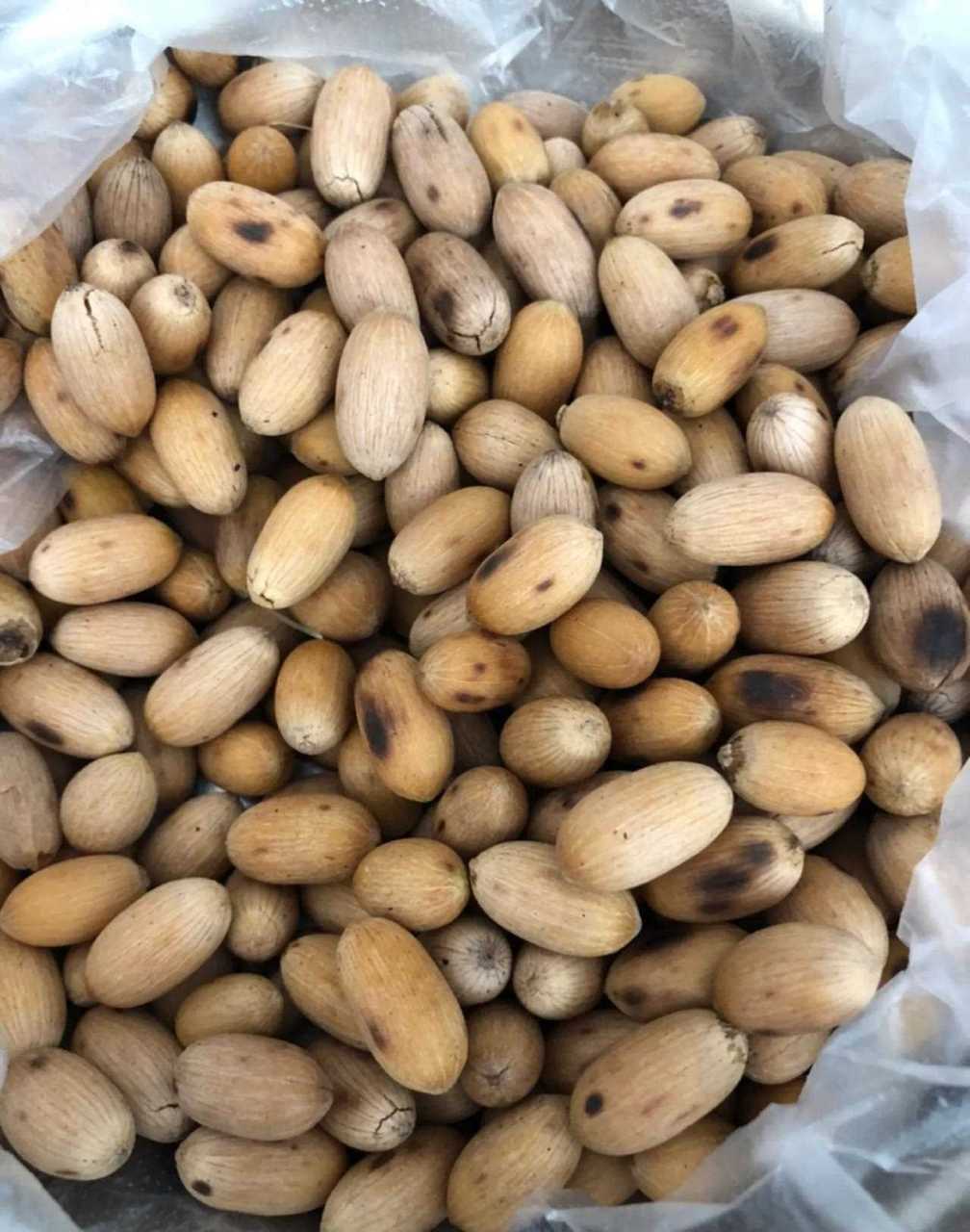 可能是生长在藤上,只知道它叫藤果,还有比这个大藤果,味相同.