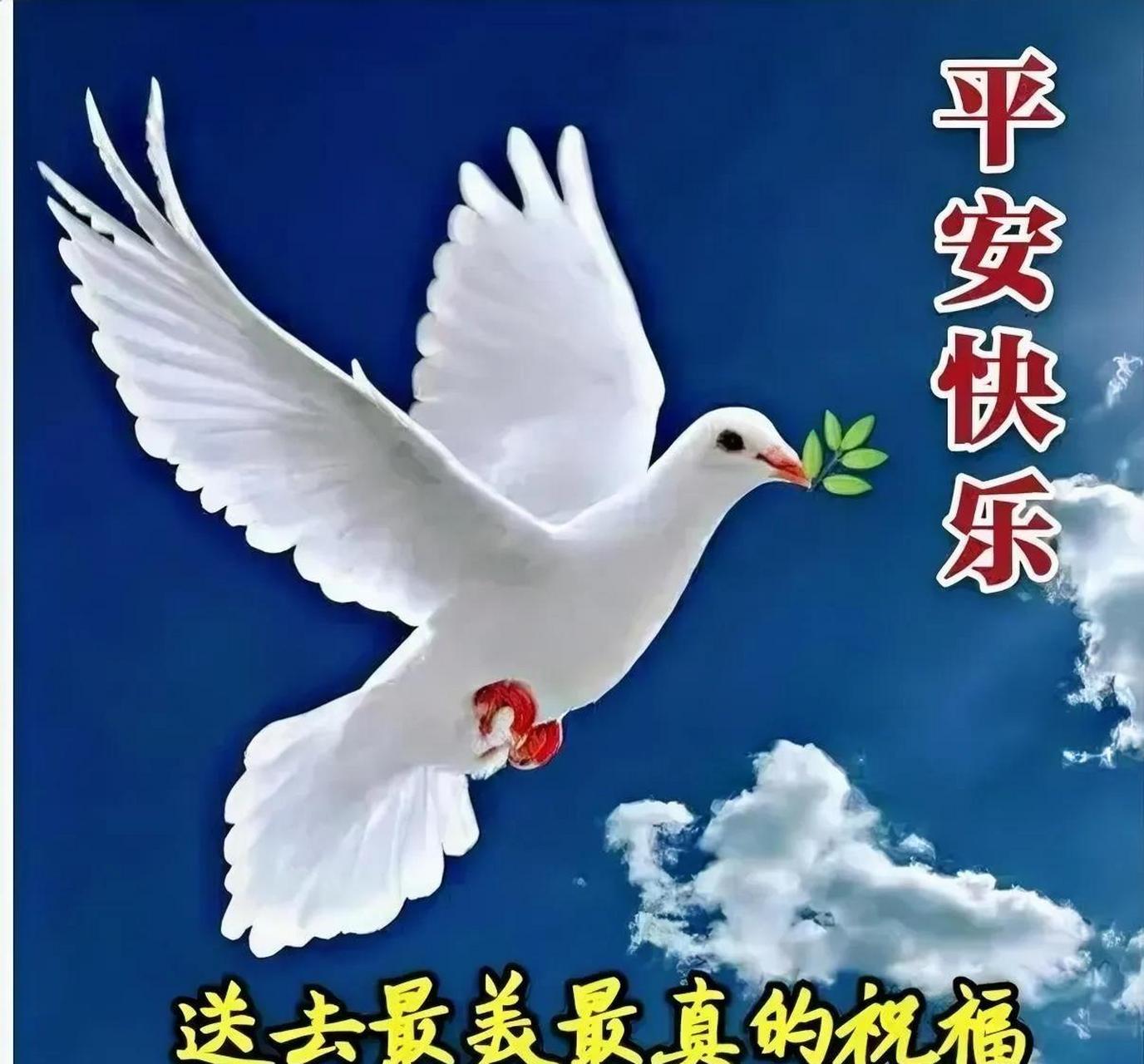 蓝天白云春美娇, 白鸽飞翔平安高, 平安快乐人欢笑, 最美最真祝福到.