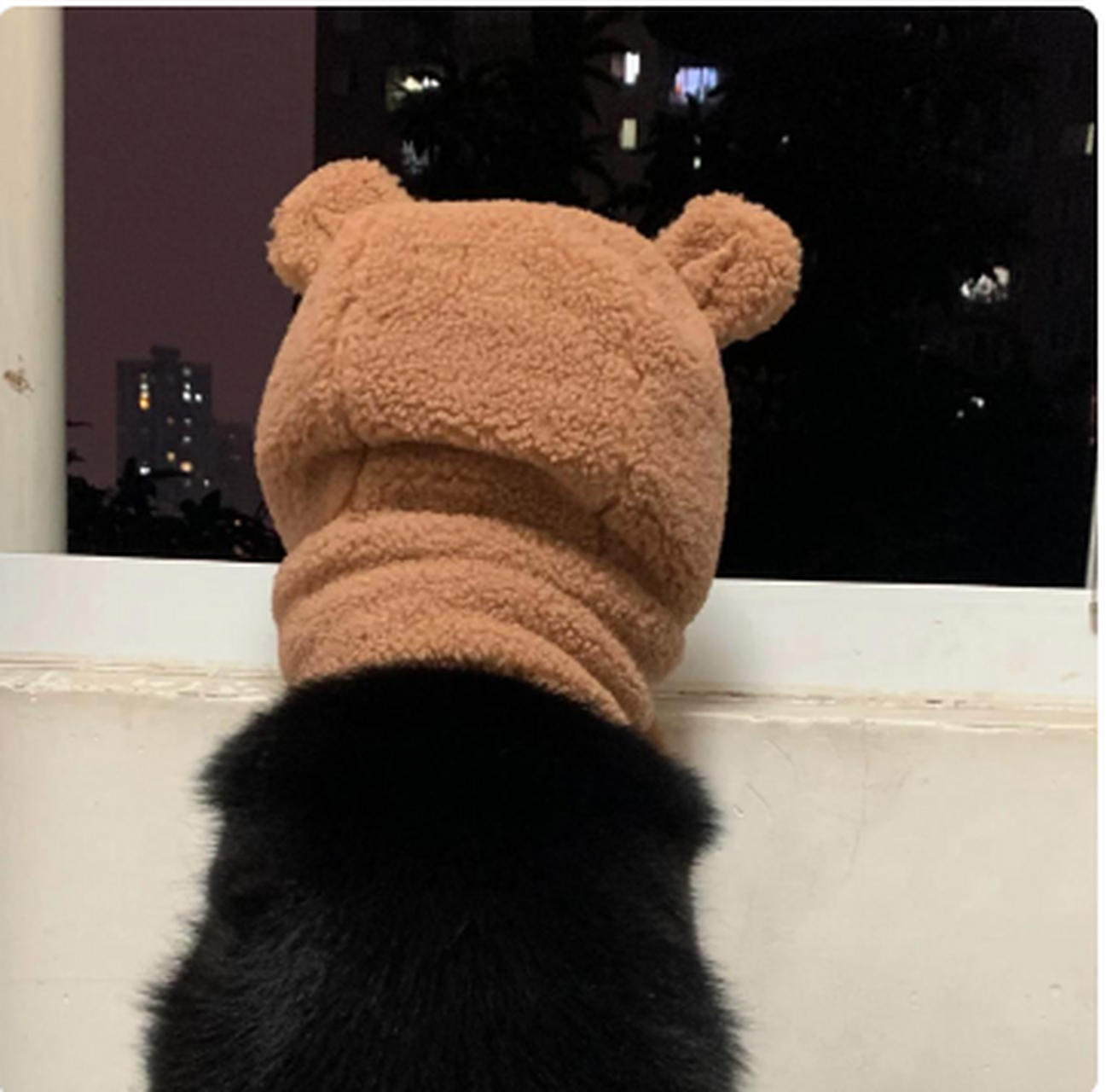 狗子的狼外婆限定皮肤,有那味儿了