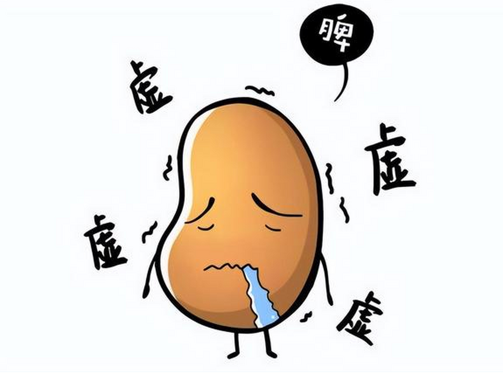 中医传统疗法,告别脾虚湿盛!