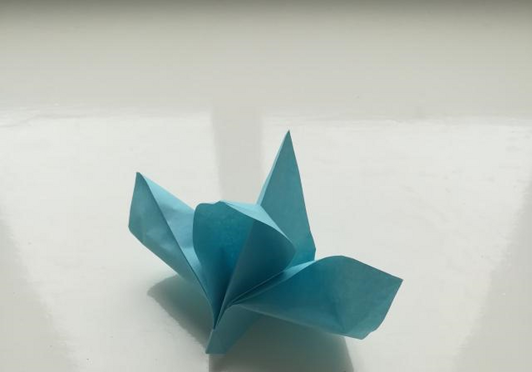 小明折纸:教你折纸兰花图解[顶]
