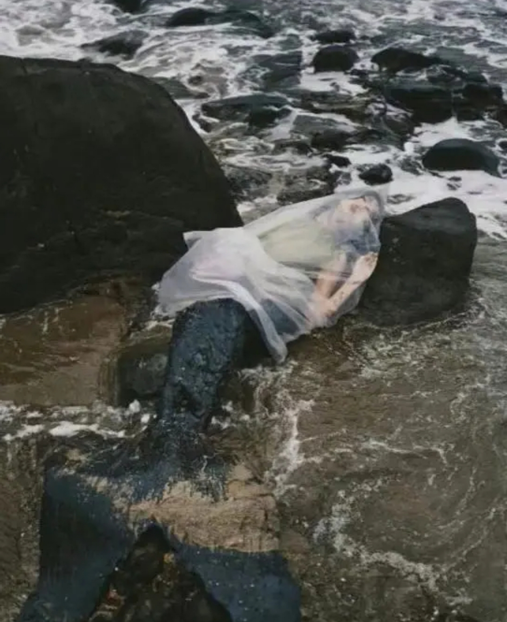 抓住一只美人鱼,要怎么处置呢?