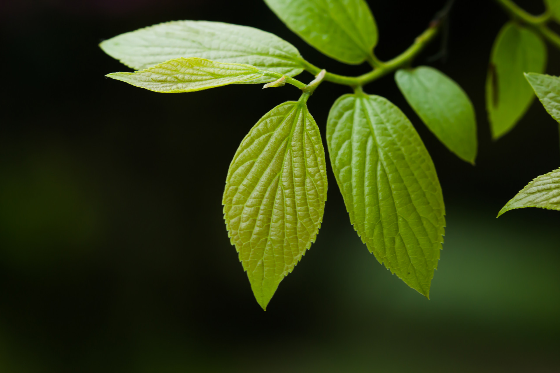 最好的感情,是相互成就 最好的感情不是无尽的要求和盲目的付出,而是
