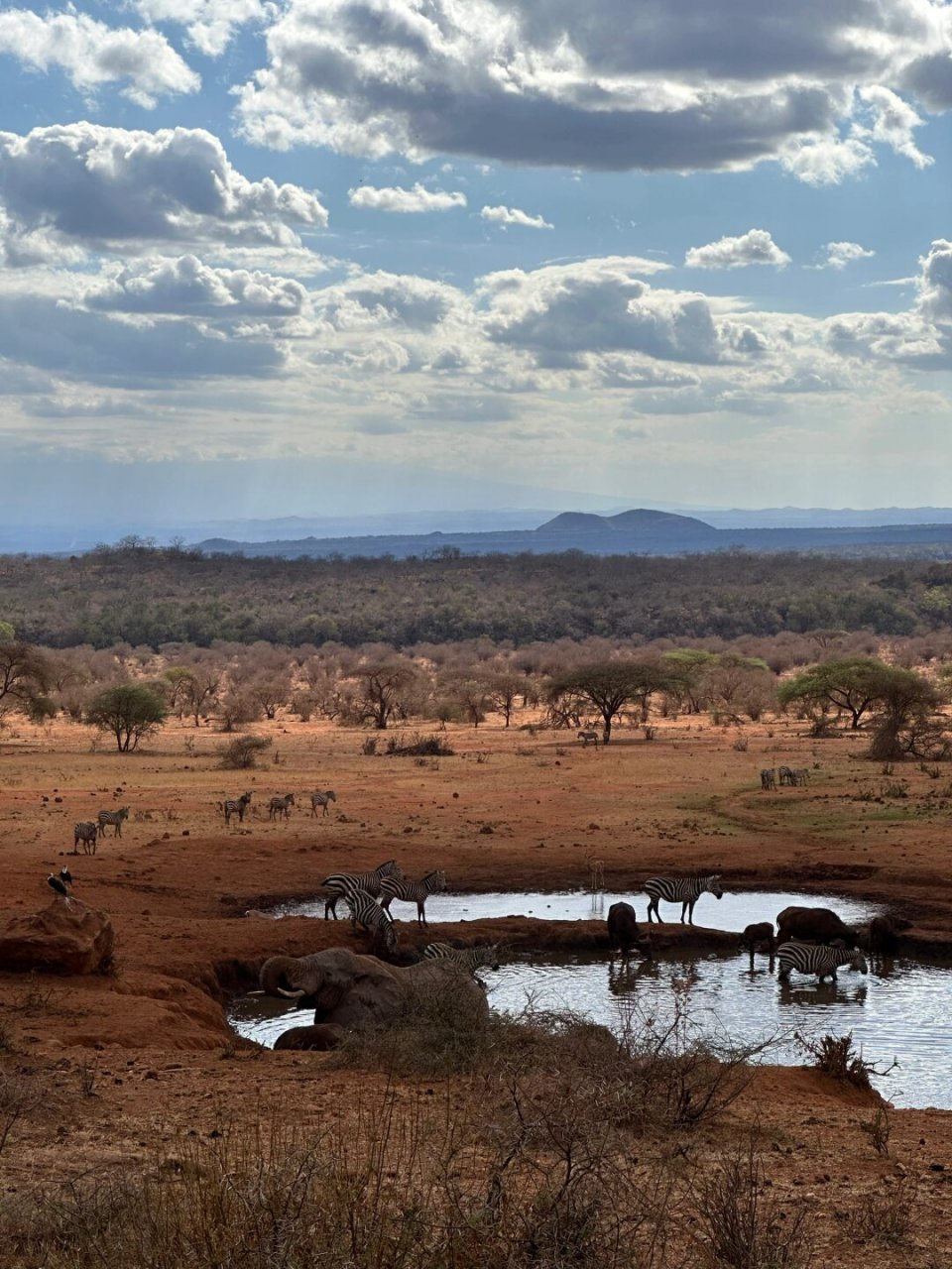 live图的意义:肯尼亚拍到人生照片  肯尼亚safari之旅  凯丽古娜斯