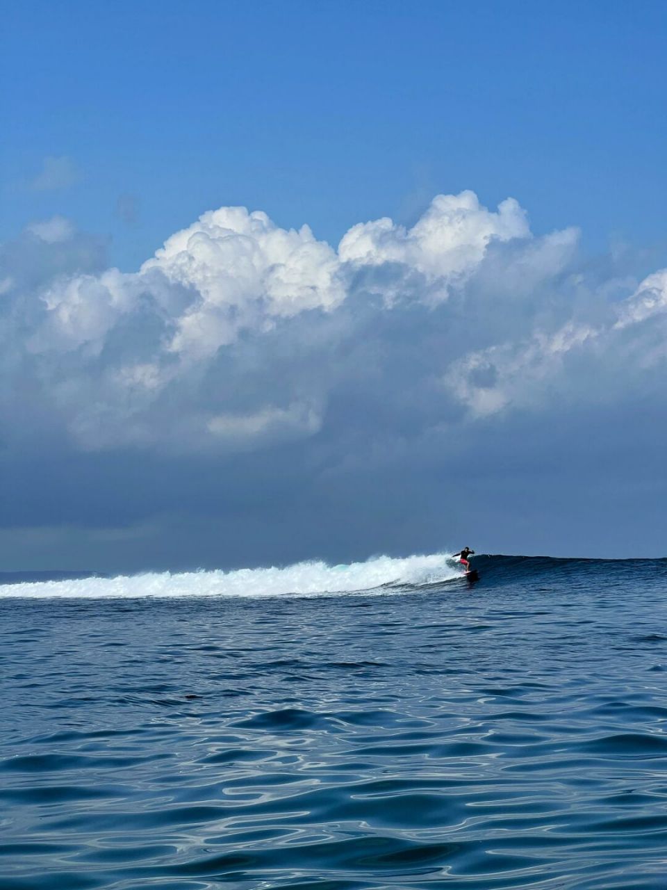 surfing trip  boat surfing trip was insanely great!